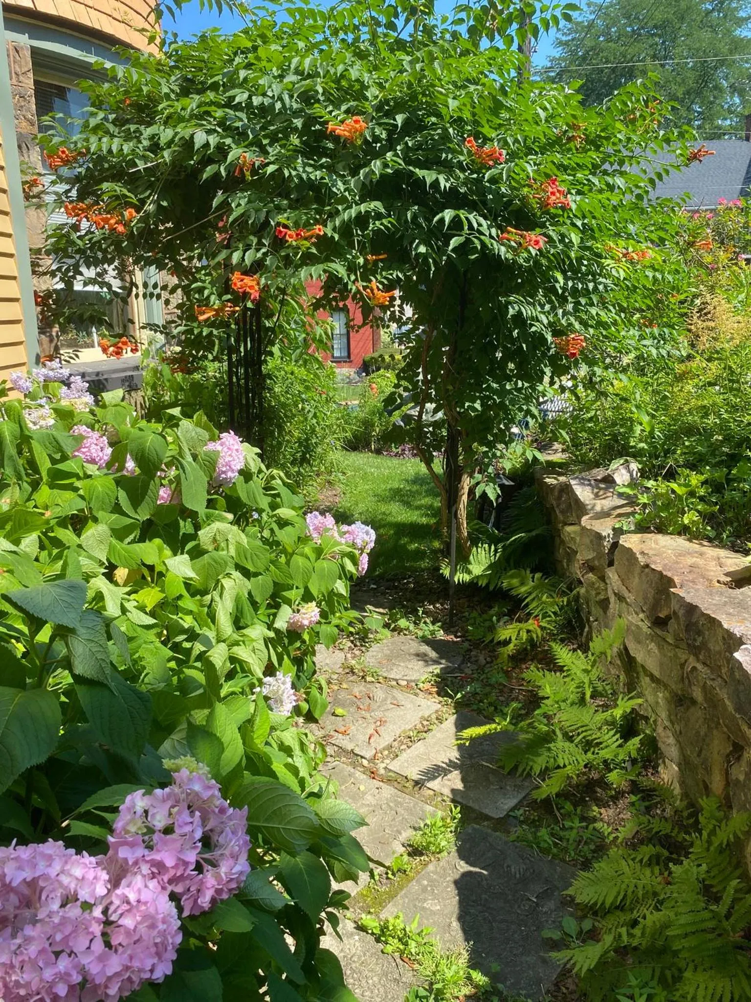 Garden in The Queen, A Victorian Bed & Breakfast