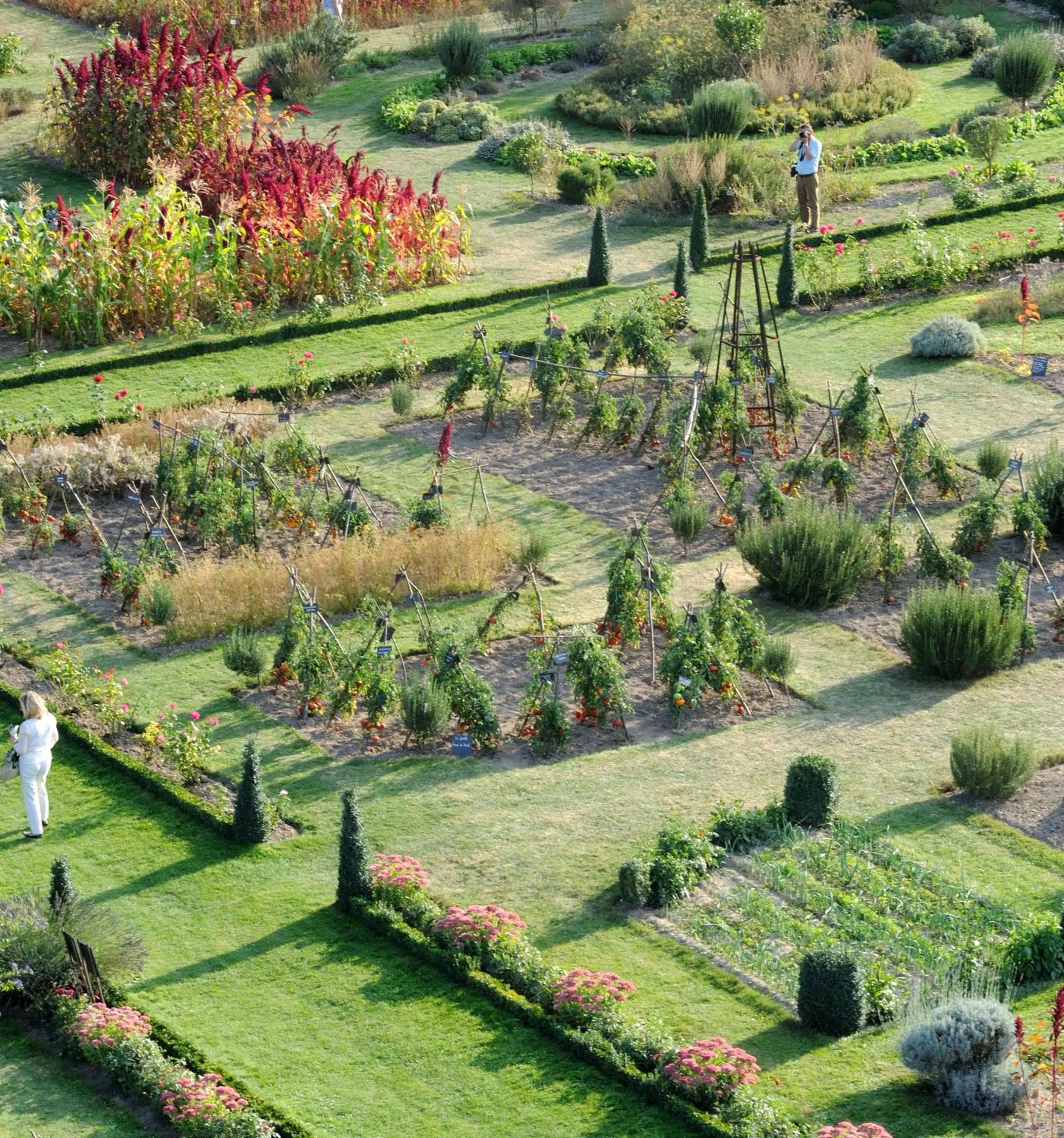 Garden in Château De La Bourdaisière