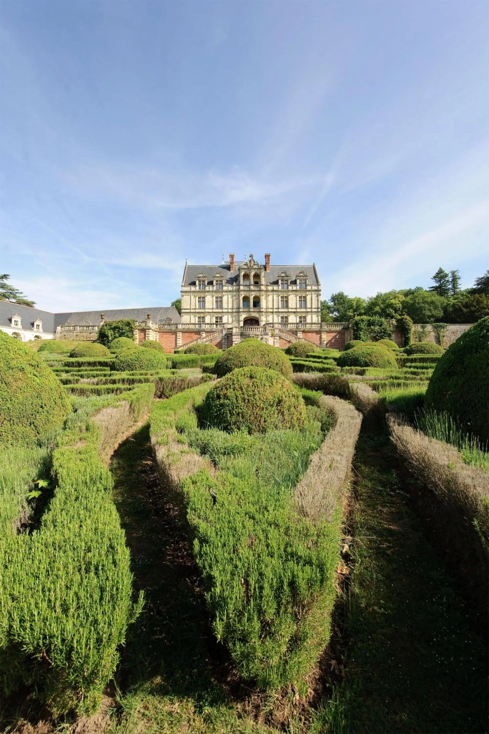 Garden in Château De La Bourdaisière