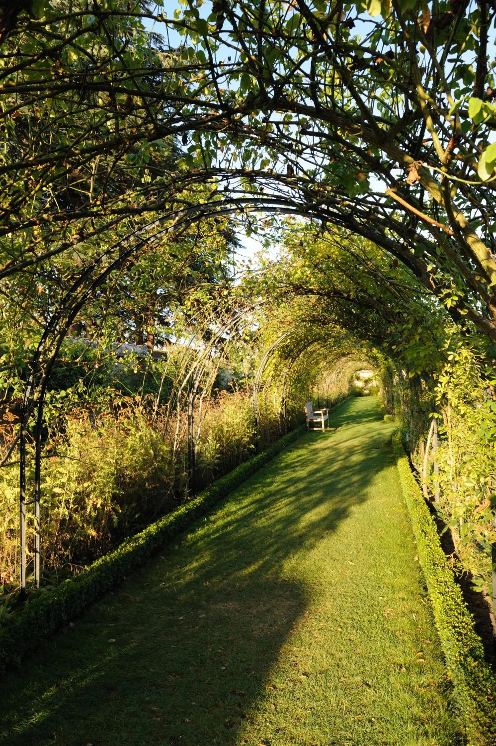 Garden in Château De La Bourdaisière