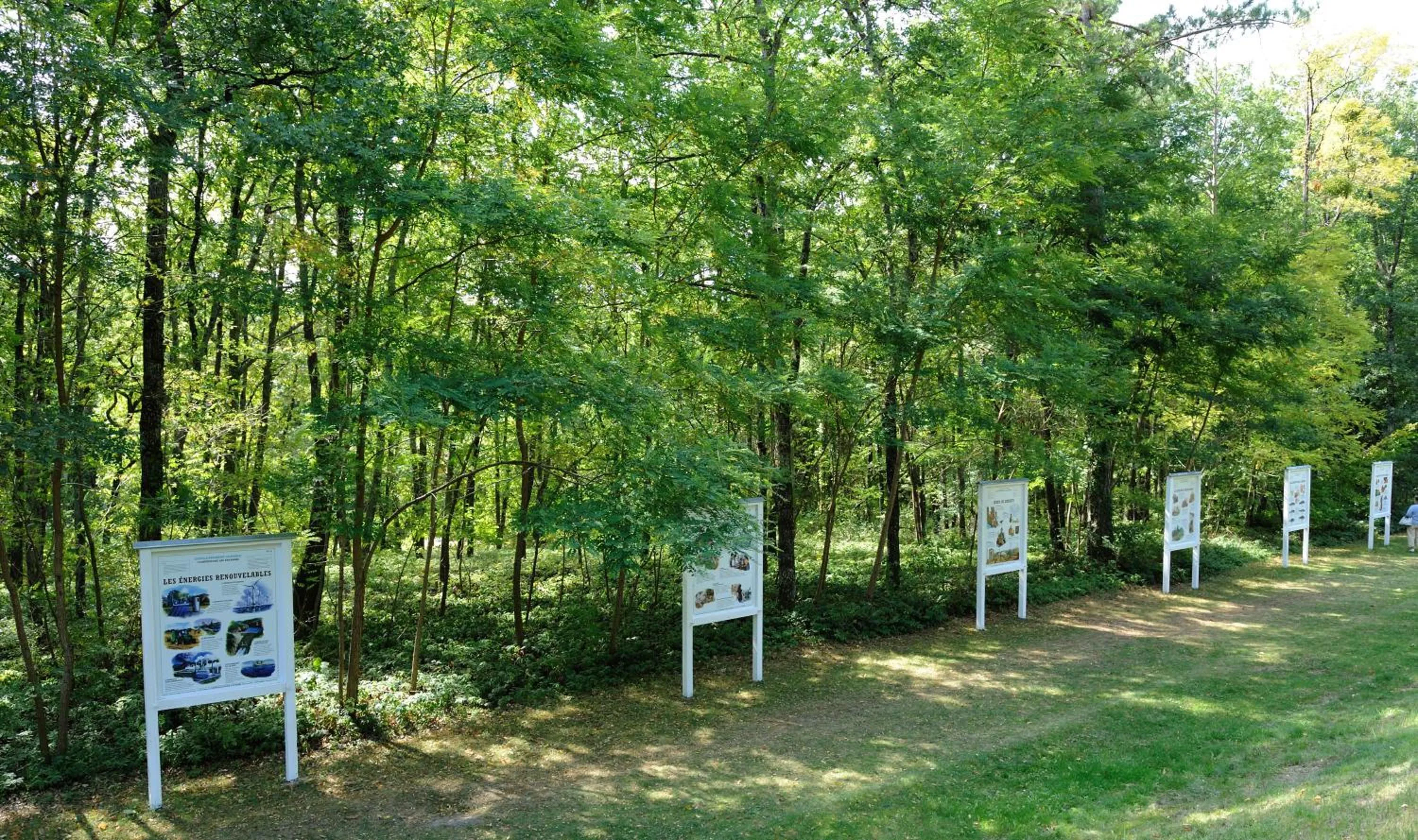 Garden in Château De La Bourdaisière