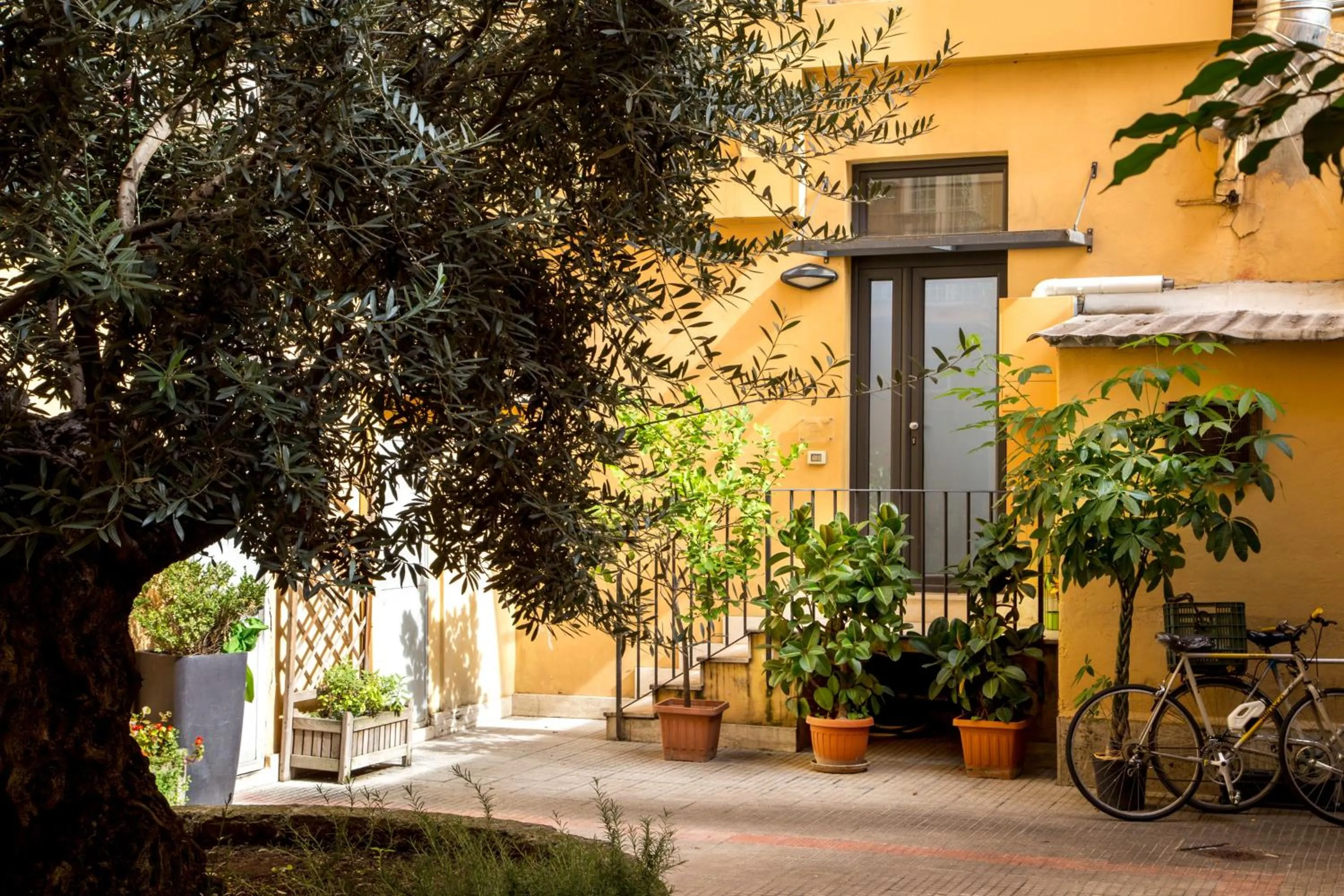 Garden in Vatican Studio Apartment