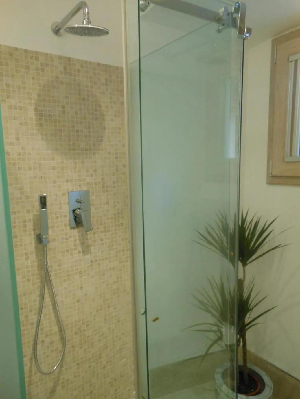 Shower in Vatican Studio Apartment