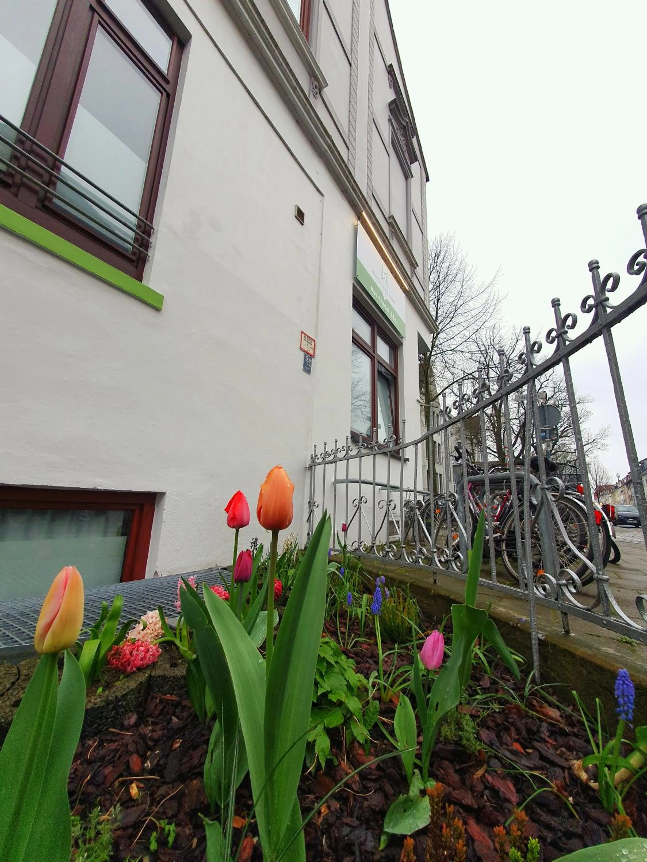 Garden in Aparthotel B & L