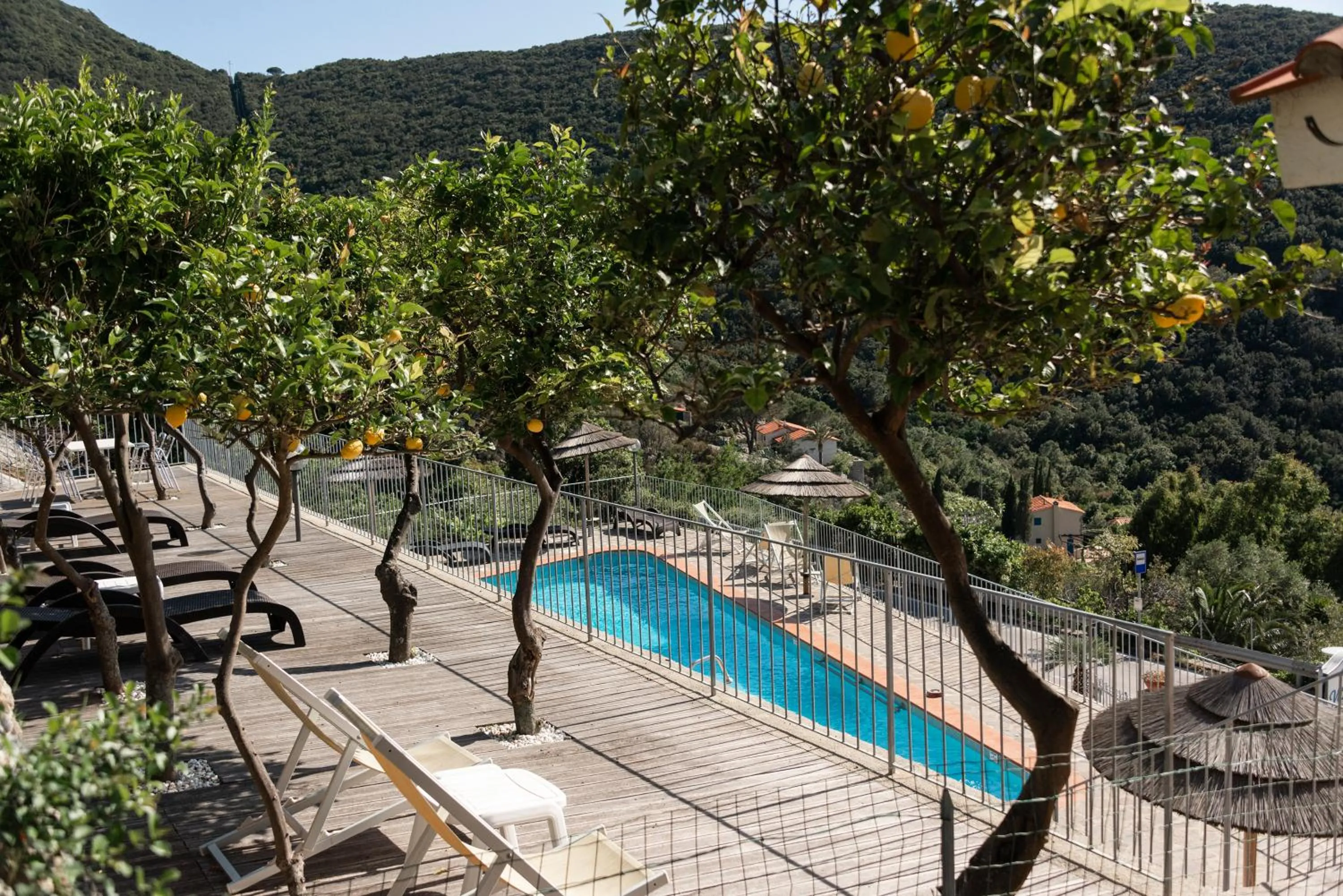 Solarium in Hotel Villa Rita