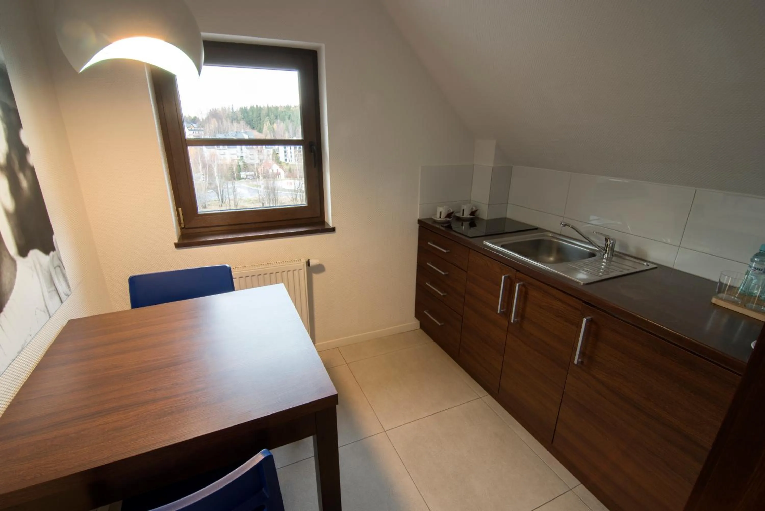 Kitchen or kitchenette in Flinski Sport X SPA, Boutique X Art