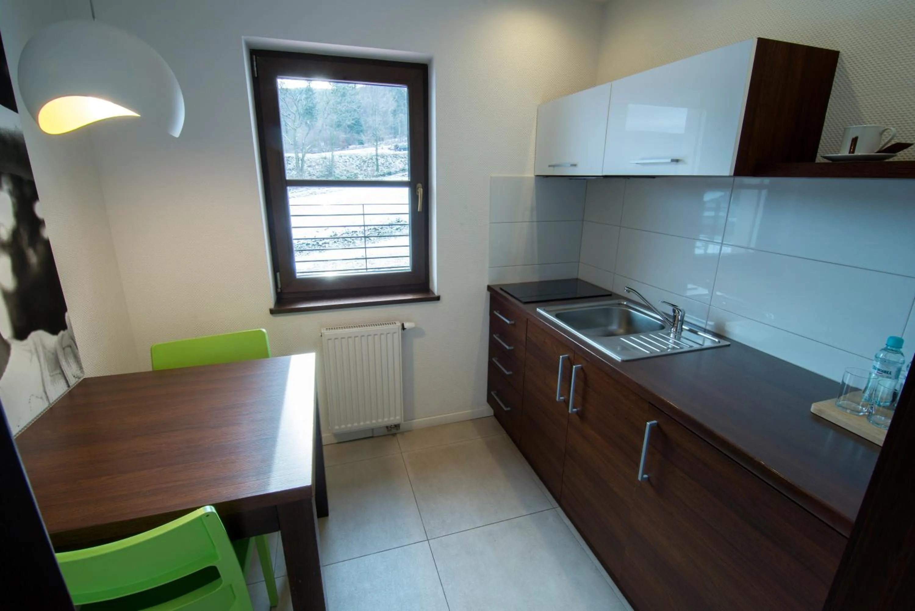 Kitchen or kitchenette in Flinski Sport X SPA, Boutique X Art