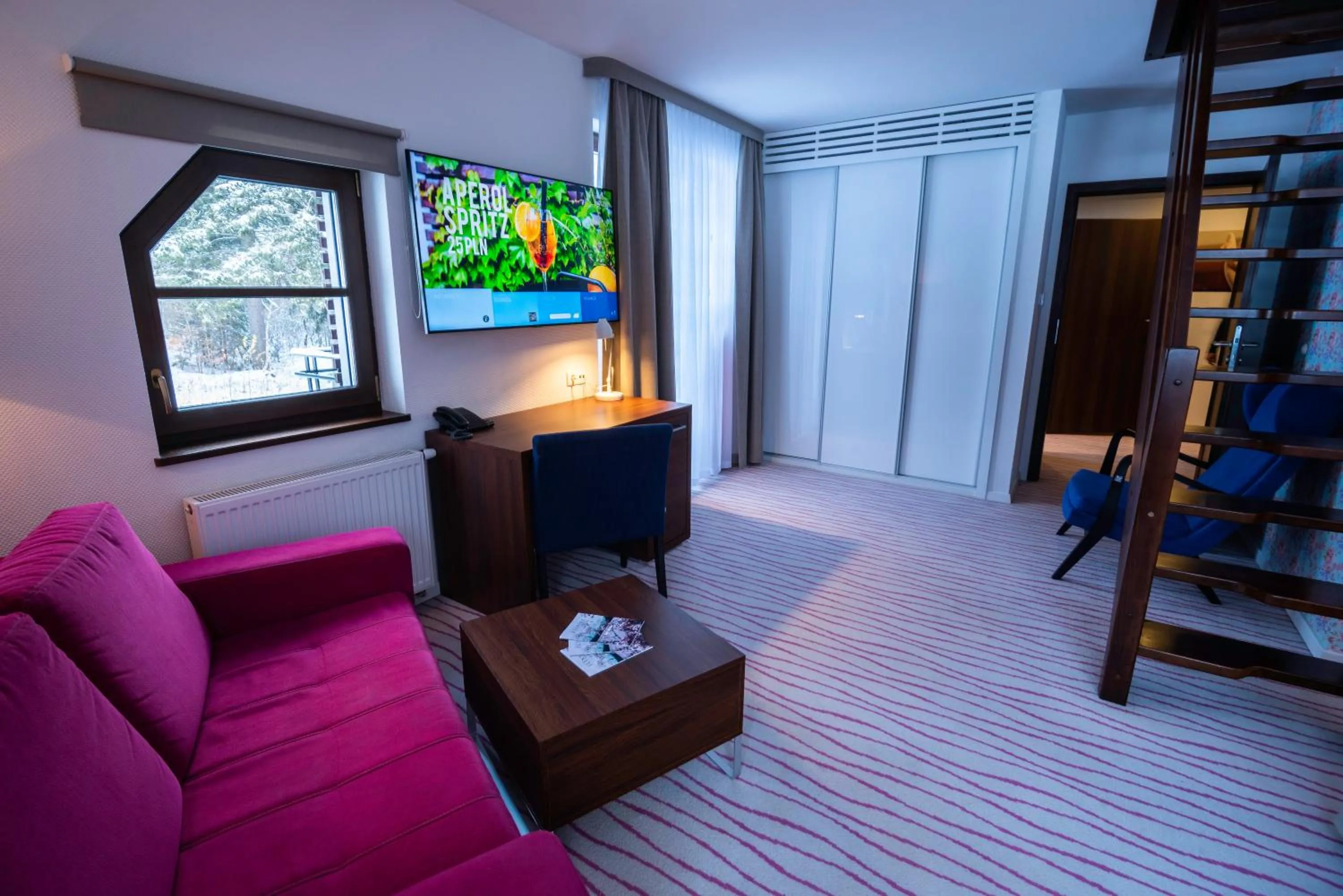 TV and multimedia in Flinski Sport X SPA, Boutique X Art