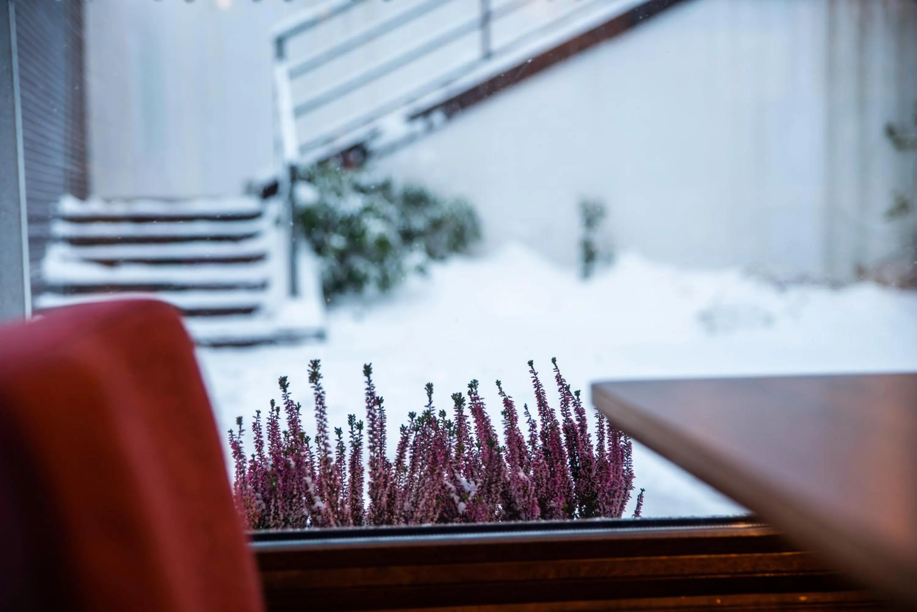 Patio in Flinski Sport X SPA, Boutique X Art