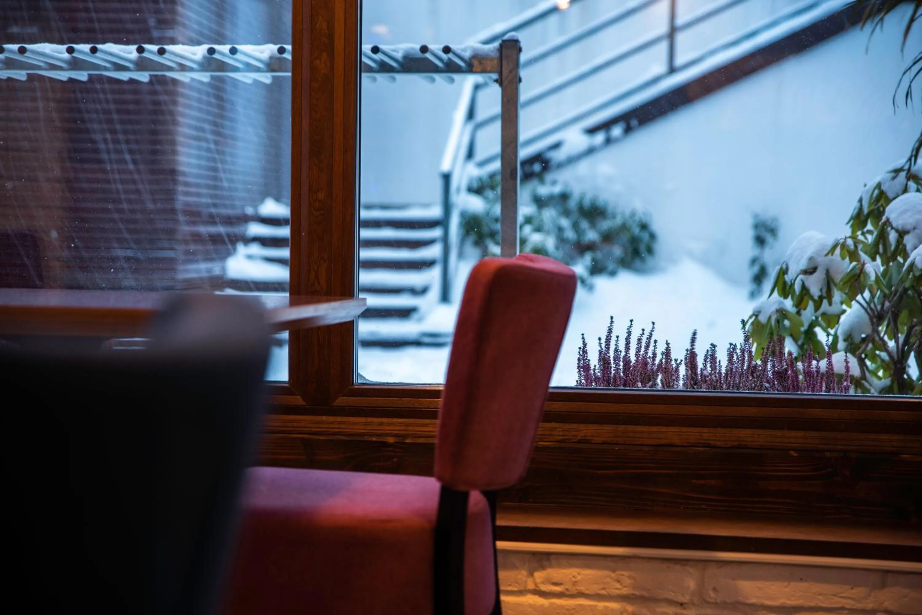 Patio in Flinski Sport X SPA, Boutique X Art