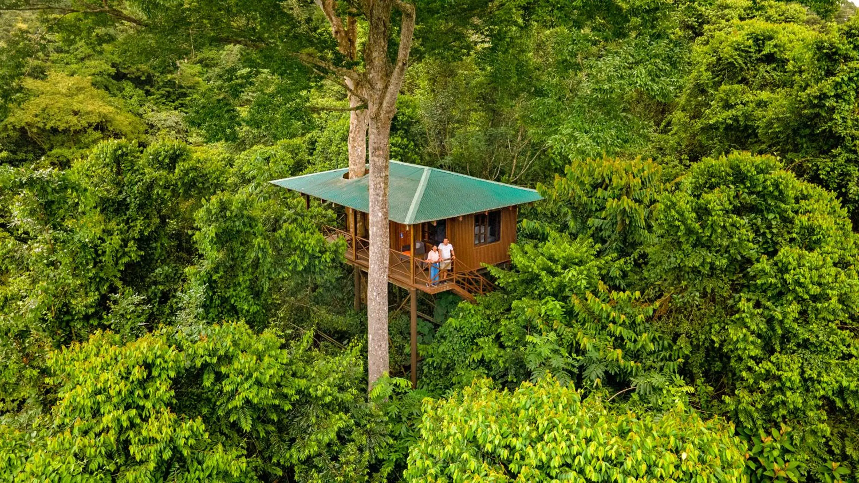 Tree House 2 Queen and 1 Twin bed in Maquenque Lodge Tree House 2 Queen and 1 Twin bed in Maquenque Lodge