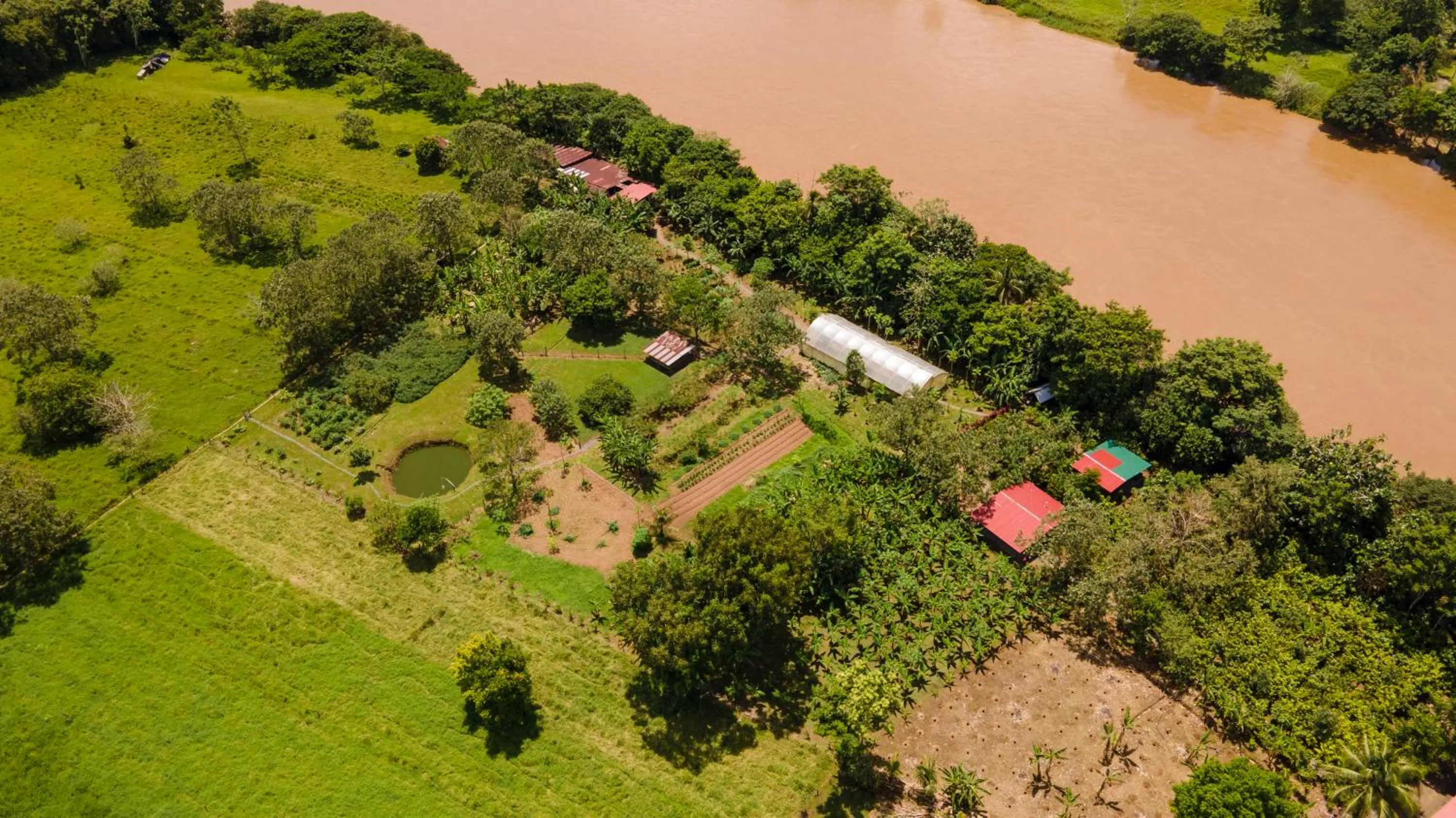 Natural landscape in Maquenque Lodge