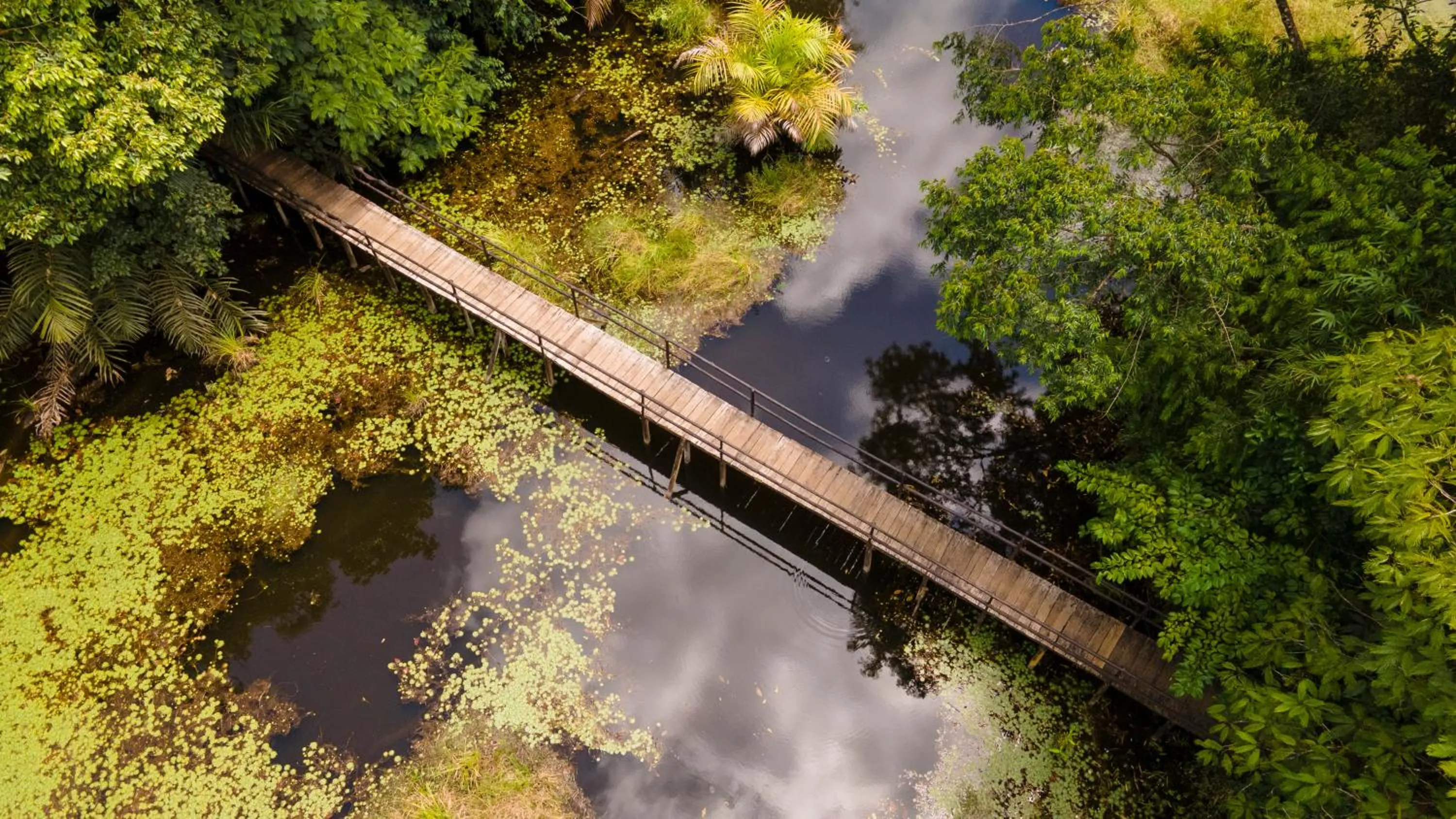 Lake view in Maquenque Lodge