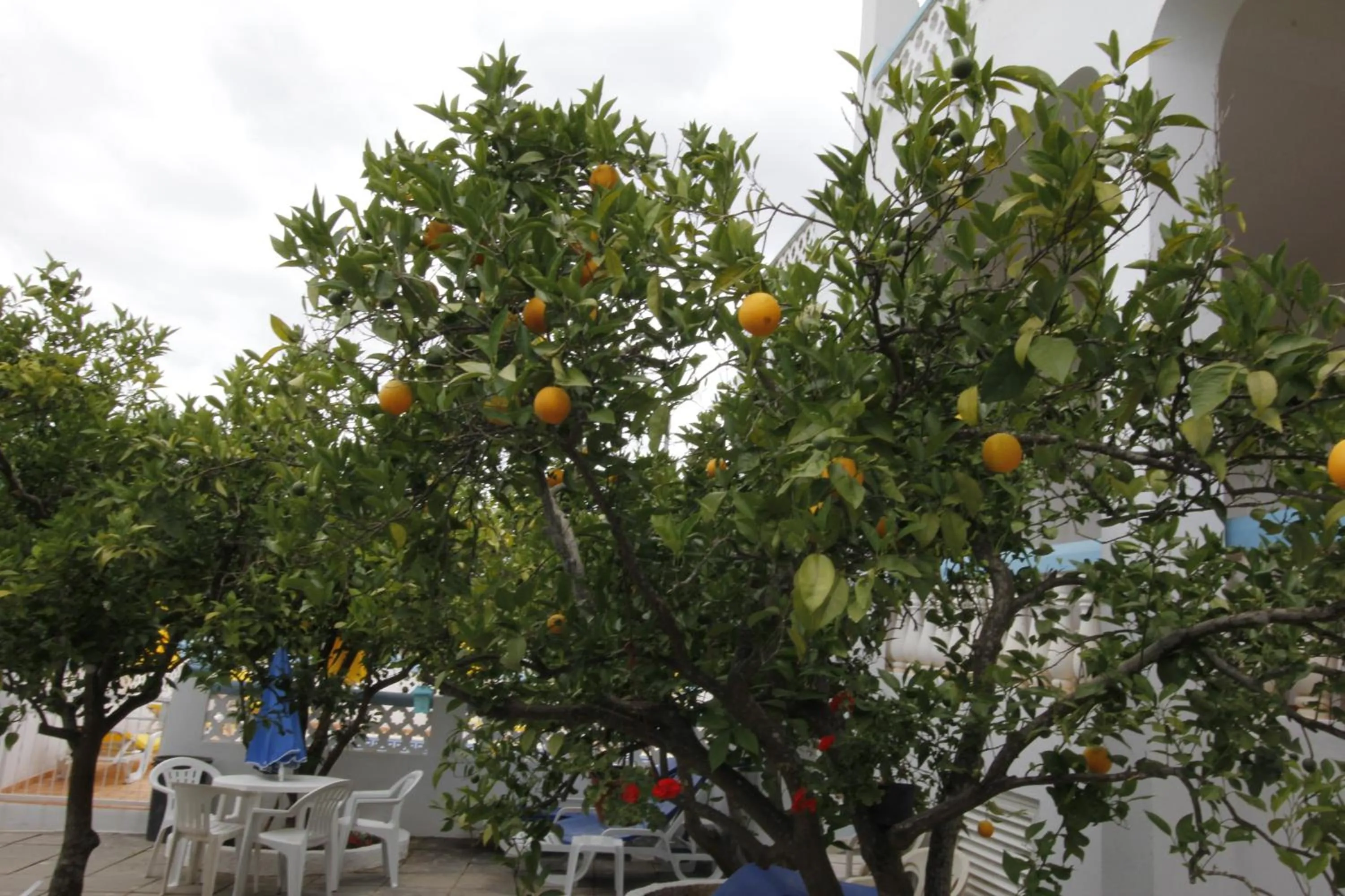 Vila Sodré Guest House