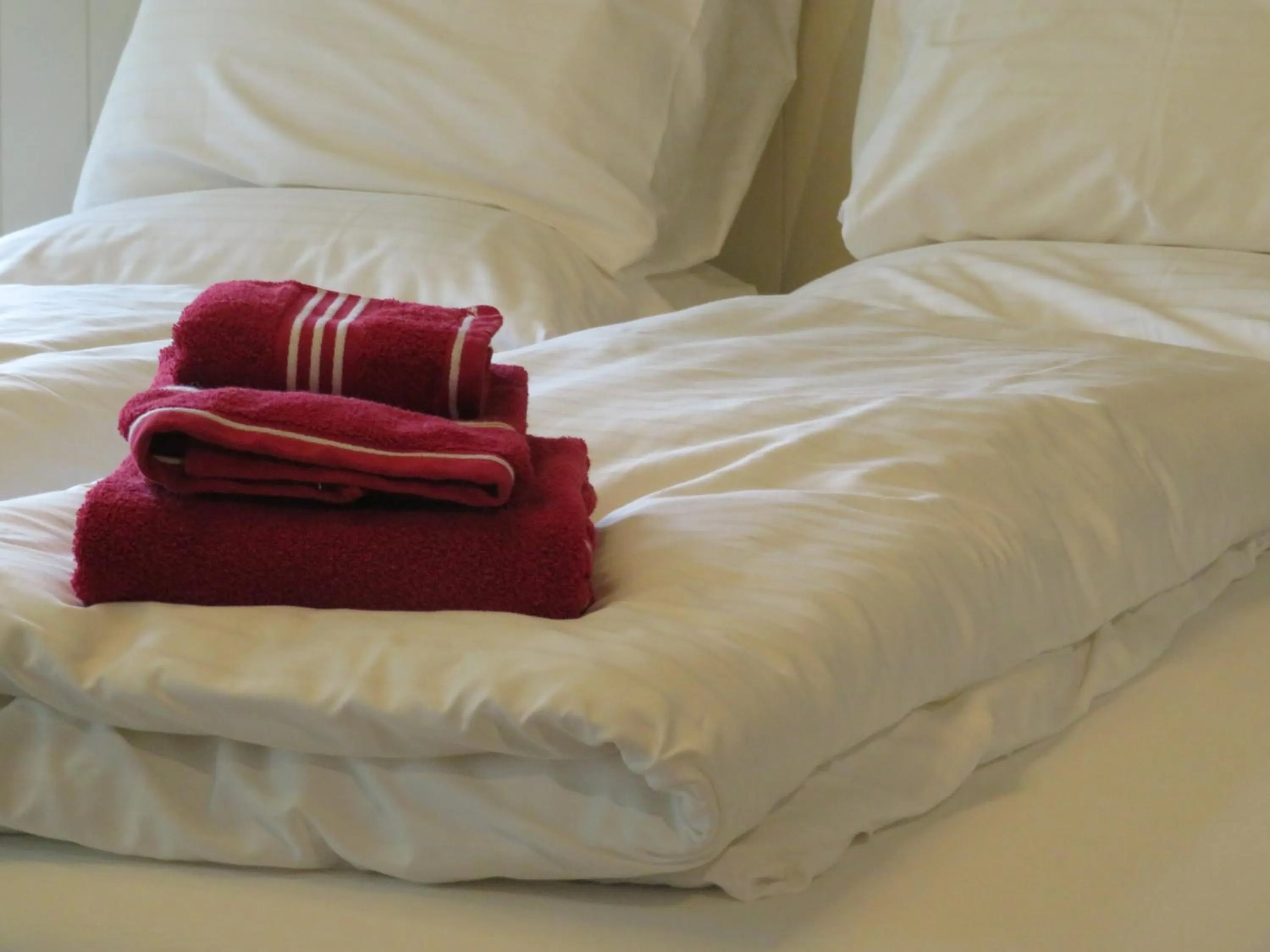 Bed in B&B Singelstate