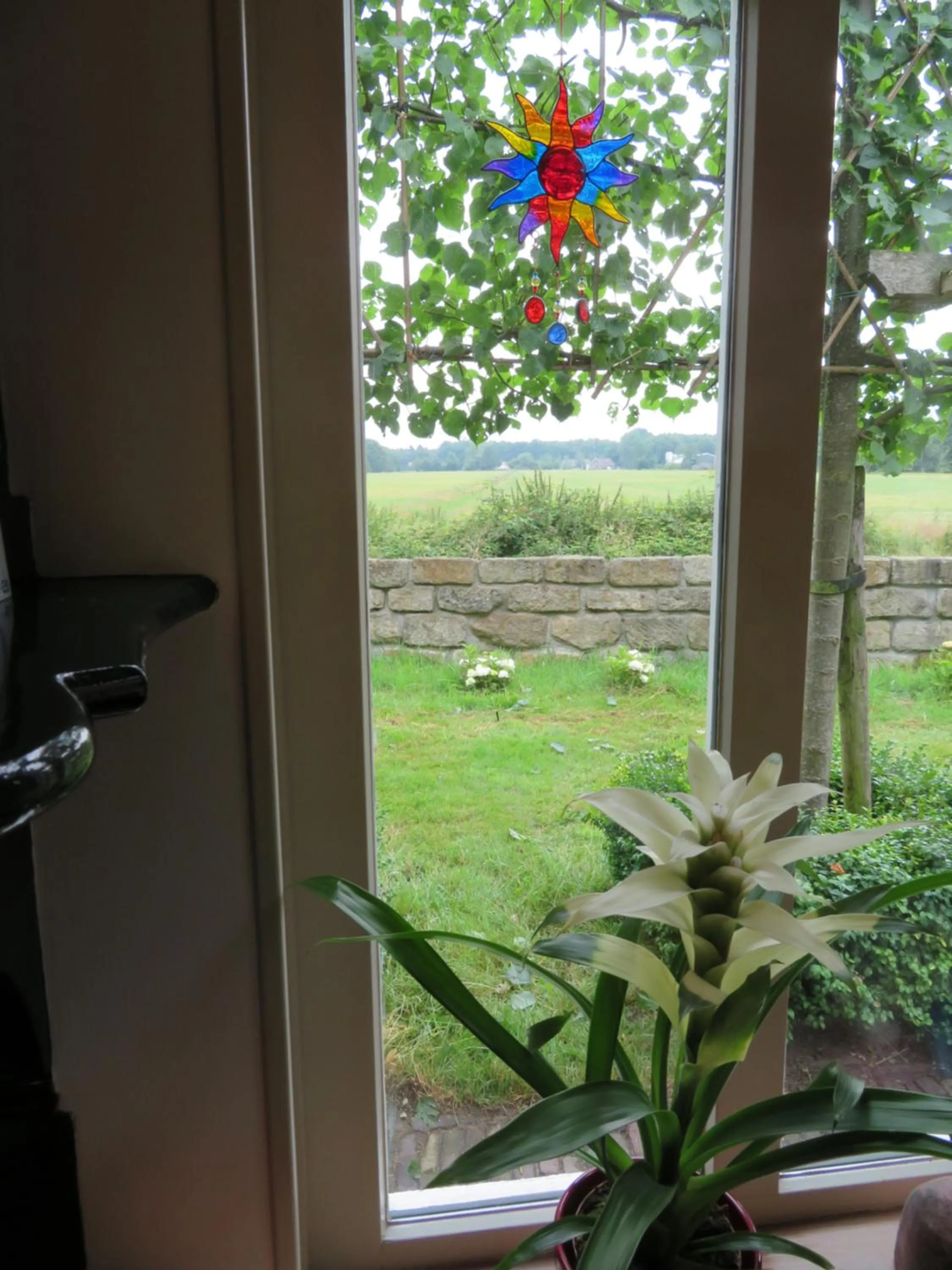 Garden view in B&B Singelstate