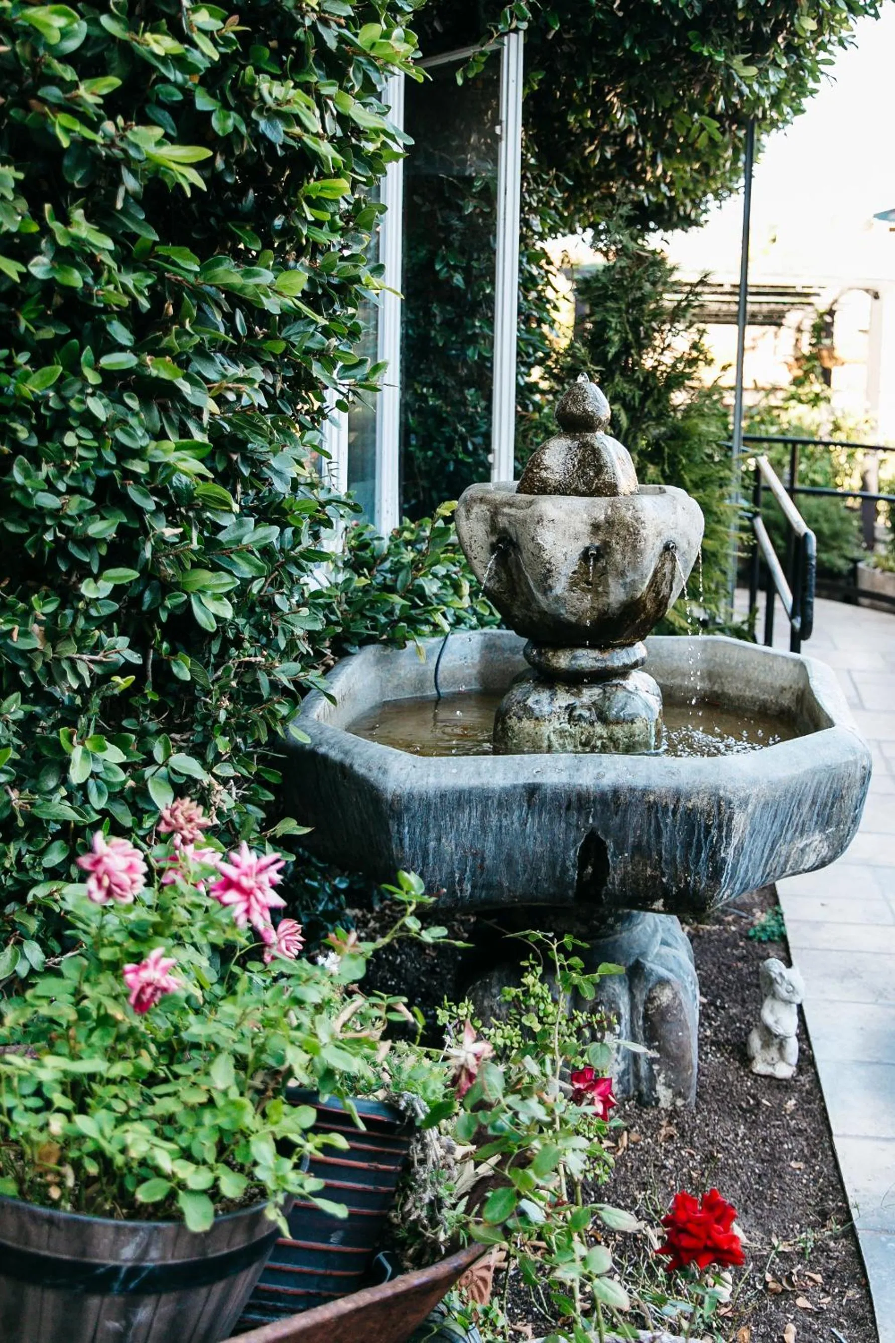 Garden in Seaside Laguna Inn & Suites