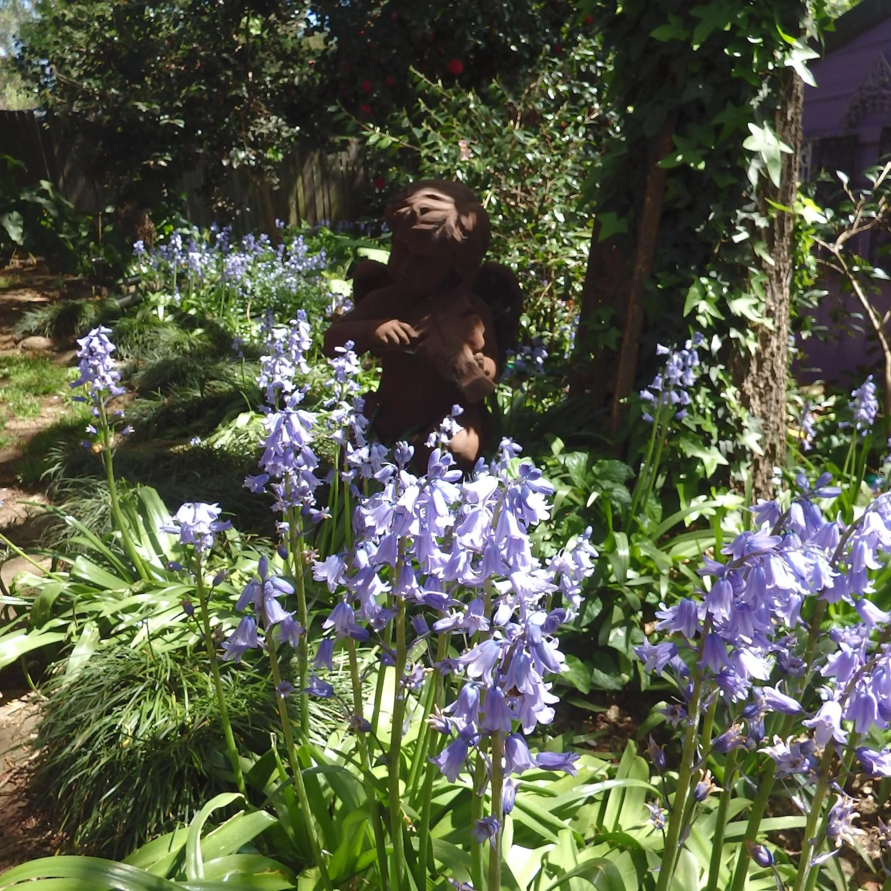 Spring in Bowral Road Art Gallery Bed and Breakfast