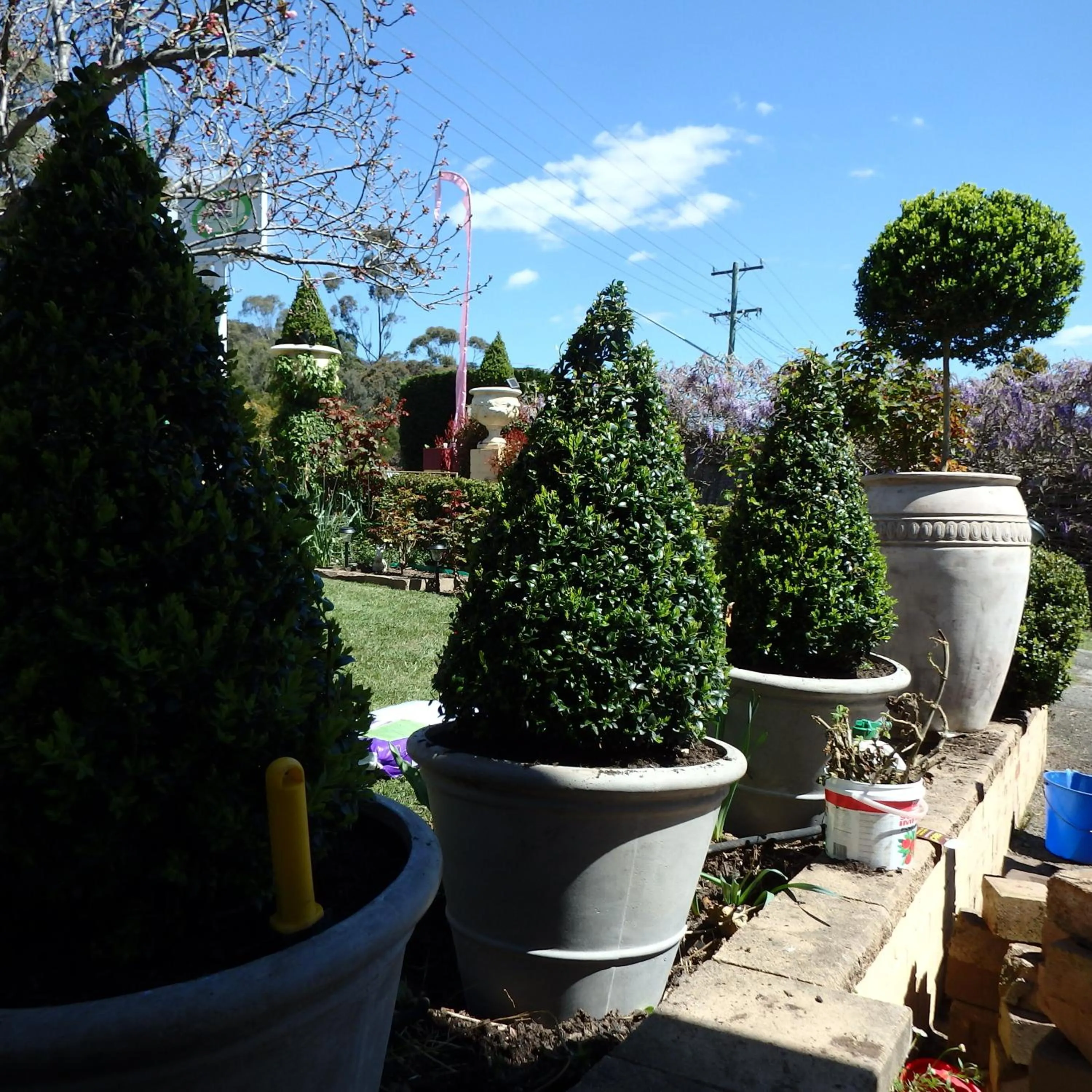 Garden in Bowral Road Art Gallery Bed and Breakfast