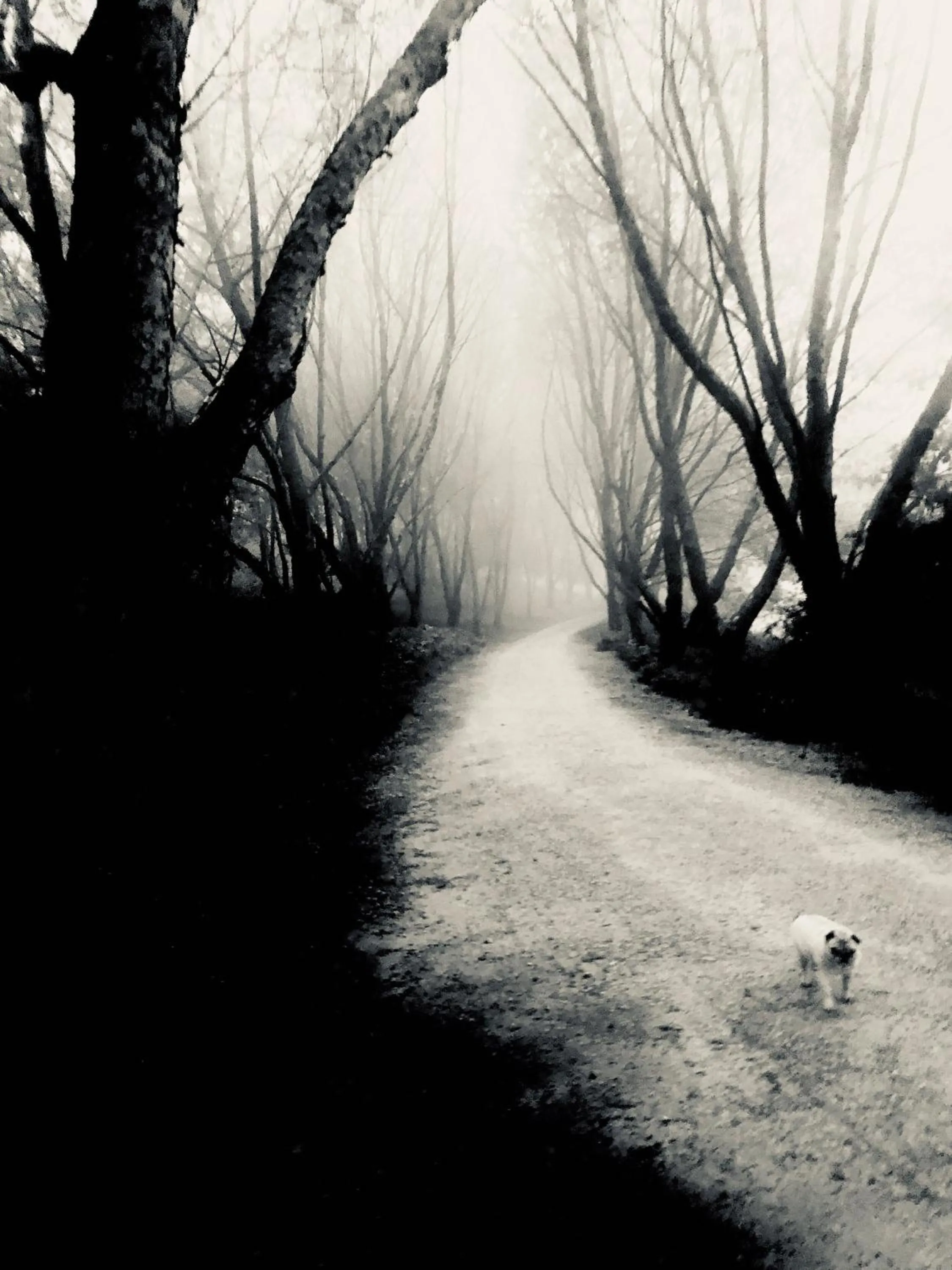 Bowral Road Art Gallery Bed and Breakfast