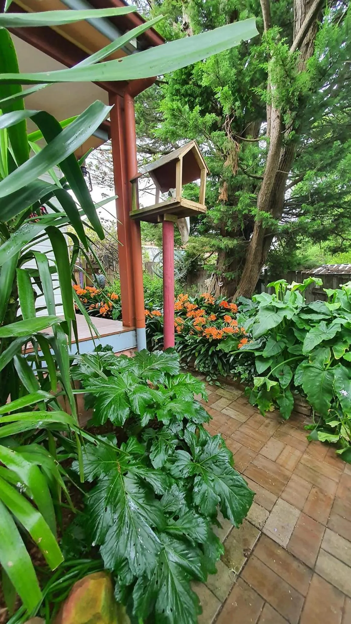 Property building in Bowral Road Art Gallery Bed and Breakfast