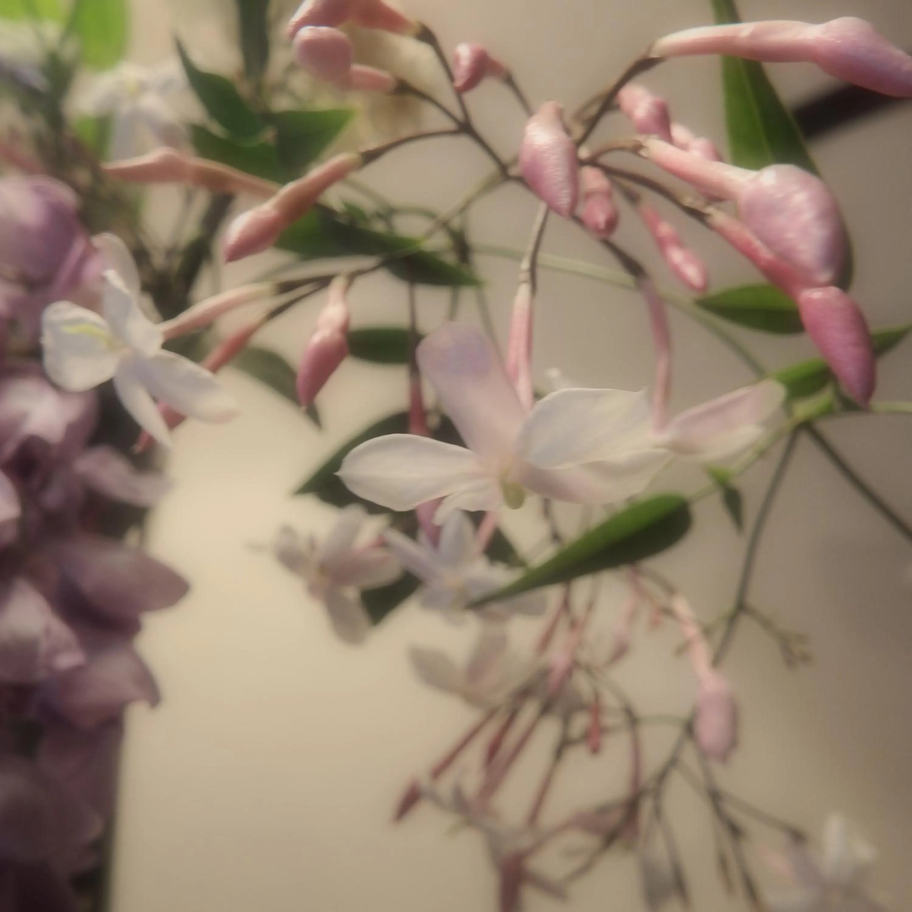 Bowral Road Art Gallery Bed and Breakfast