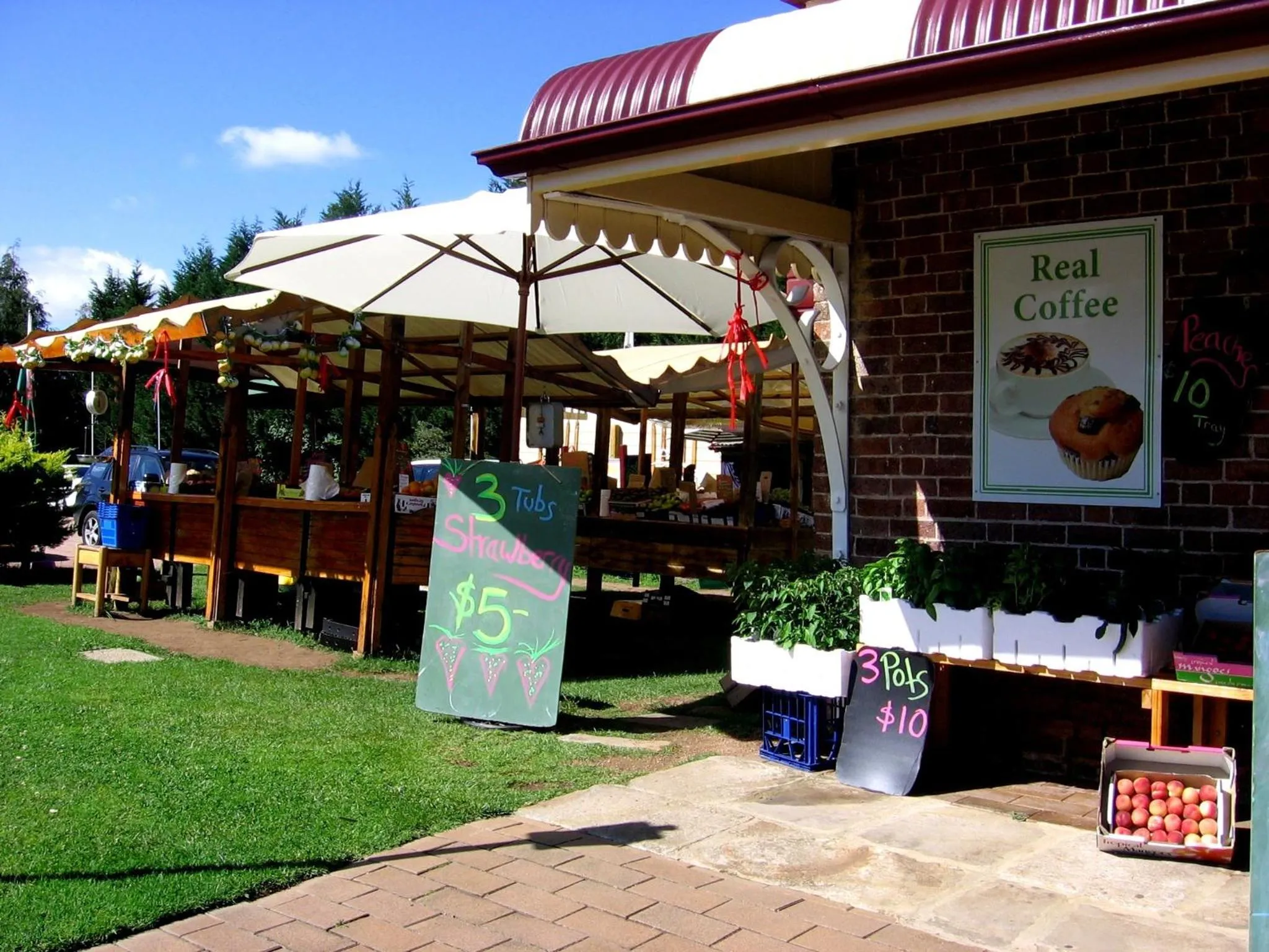 Area and facilities in Bowral Road Art Gallery Bed and Breakfast