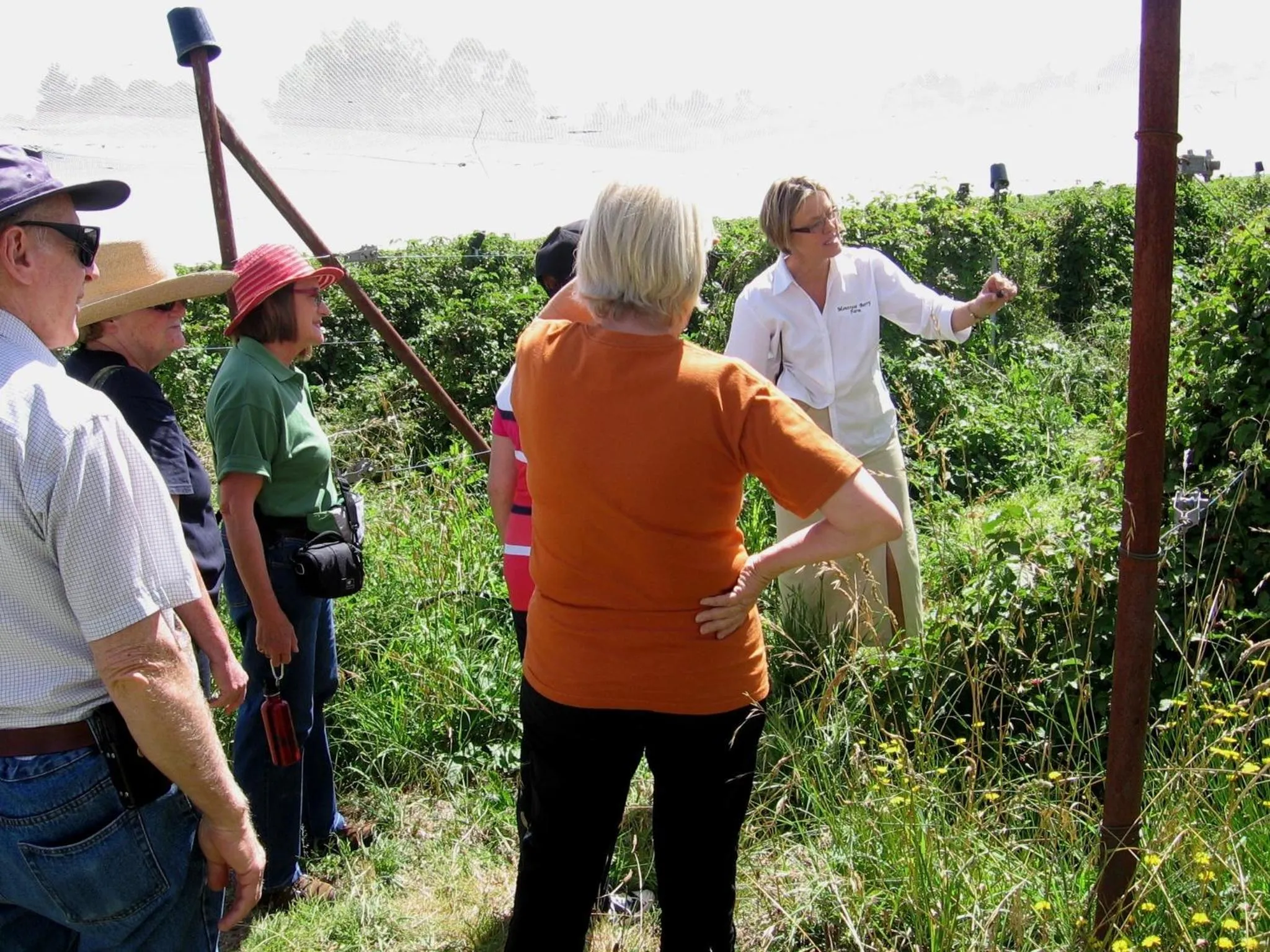 Area and facilities in Bowral Road Art Gallery Bed and Breakfast