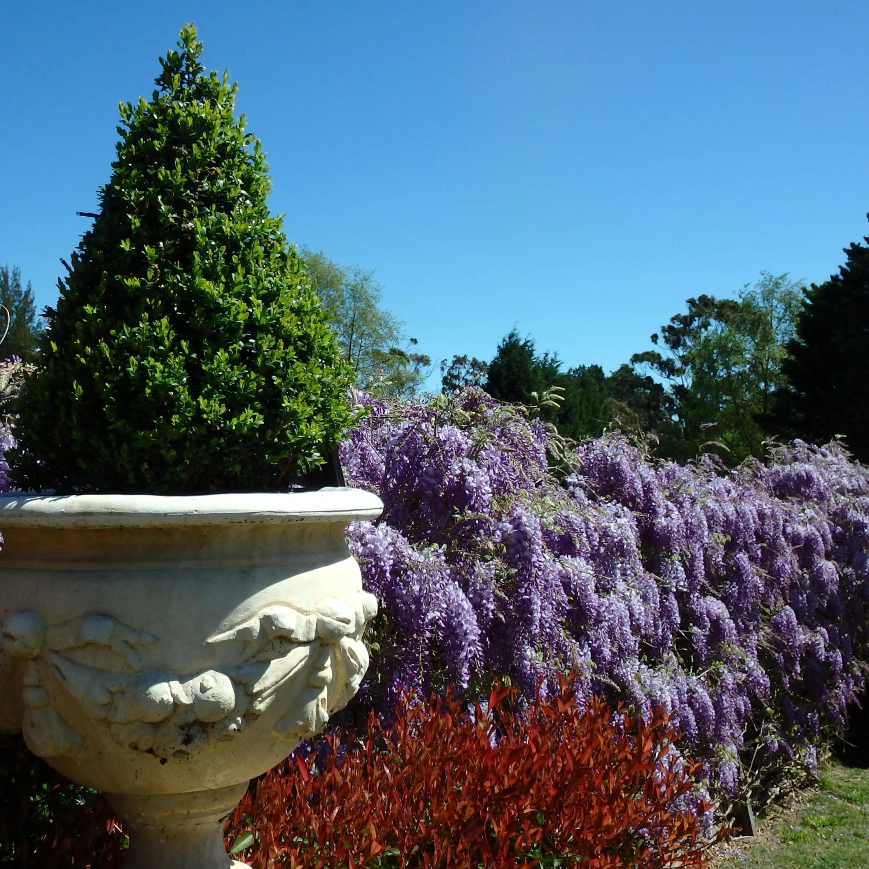 Garden in Bowral Road Art Gallery Bed and Breakfast