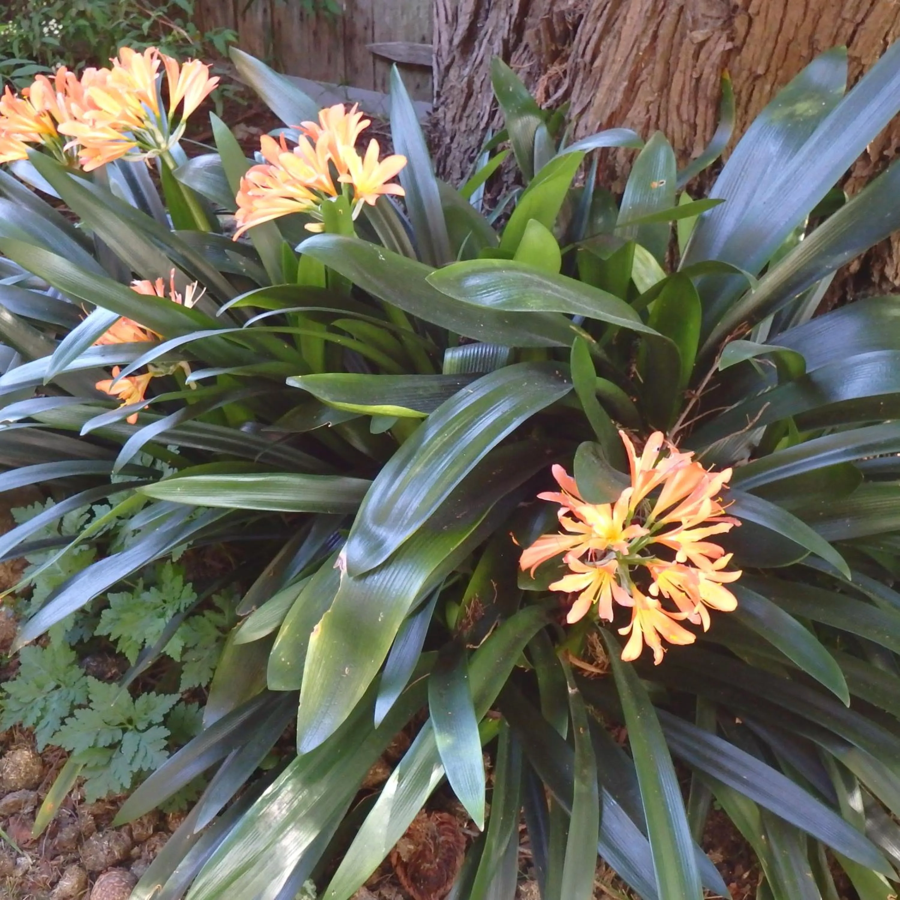 Bowral Road Art Gallery Bed and Breakfast