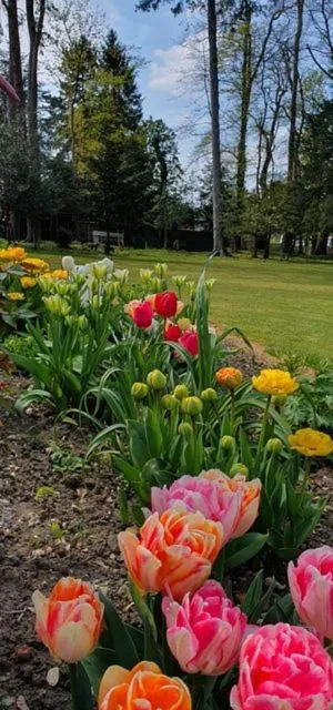 Garden in Chambres d'Hôtes des Rouets