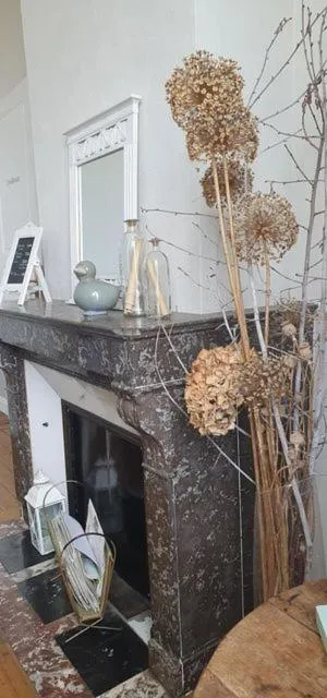 fireplace in Chambres d'Hôtes des Rouets