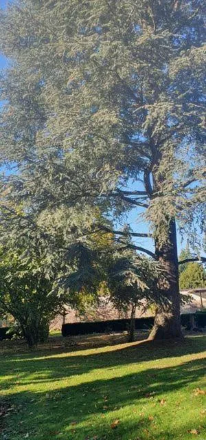 Garden in Chambres d'Hôtes des Rouets