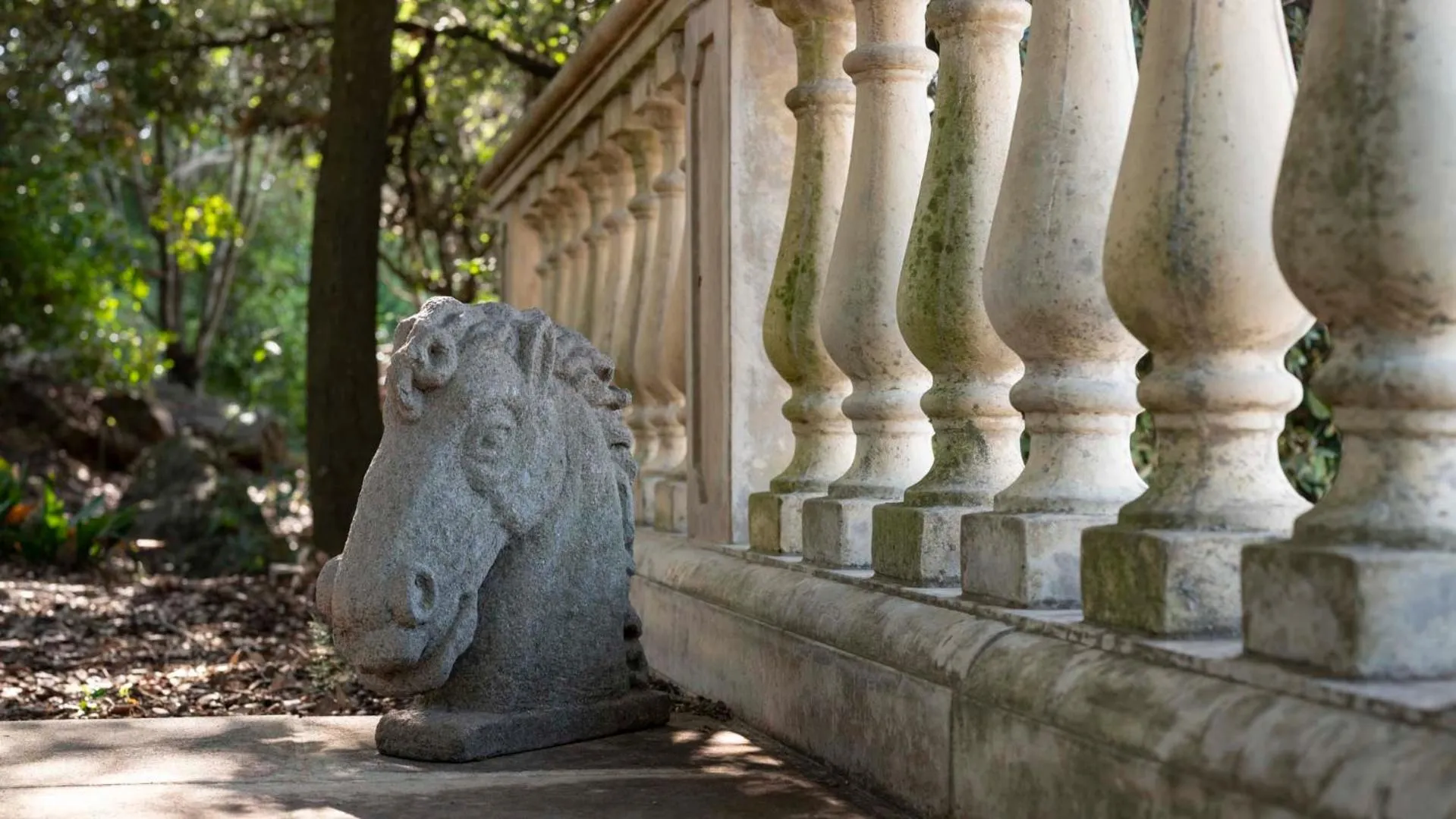 Decorative detail in Tenuta il Sassone - Wine&Food