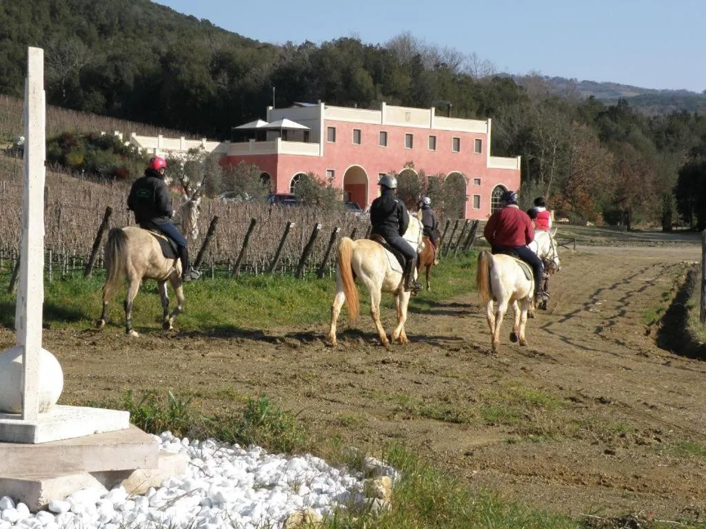Horse-riding in Tenuta il Sassone - Wine&Food