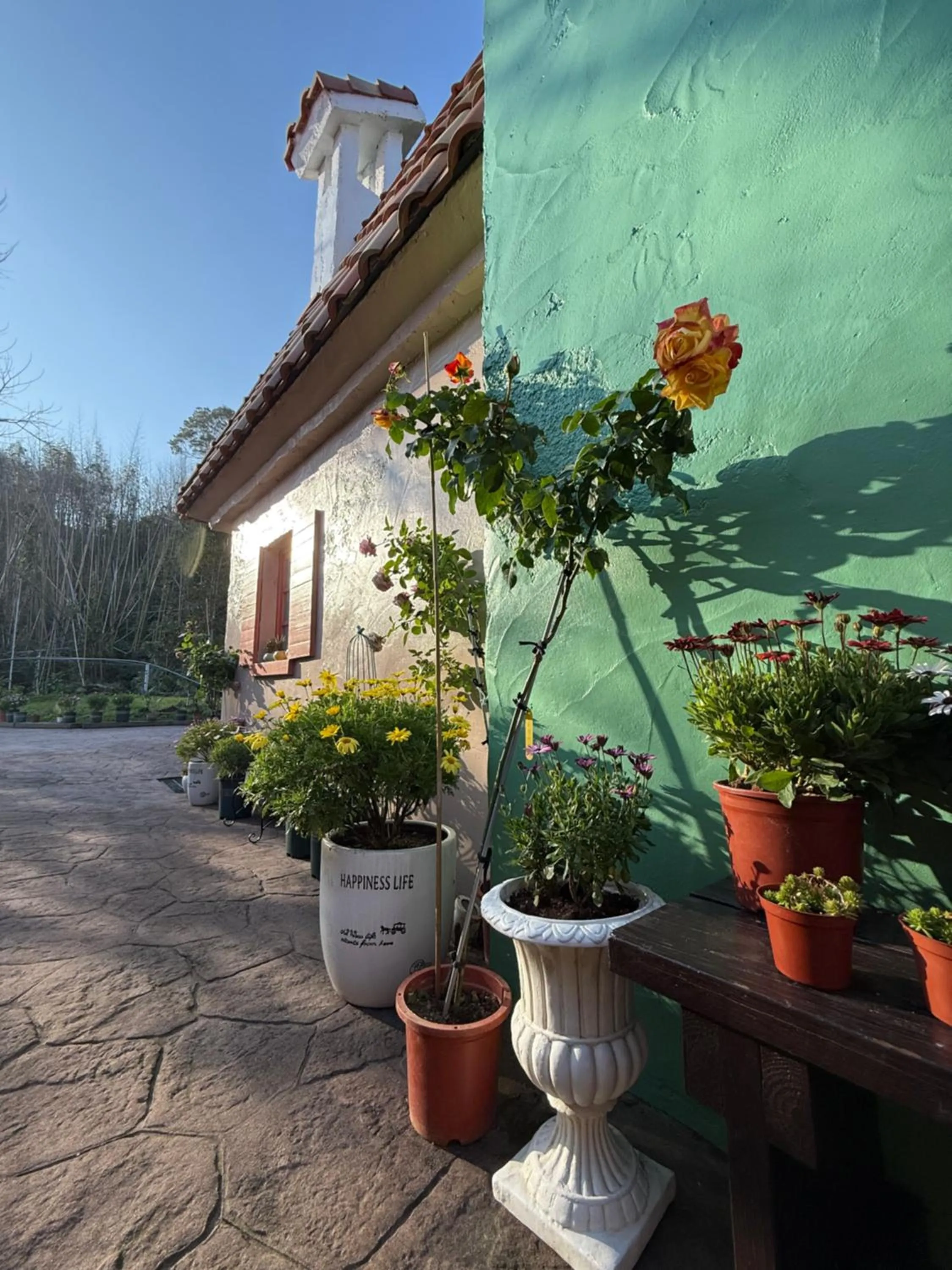 Alishan Tea Garden B&B