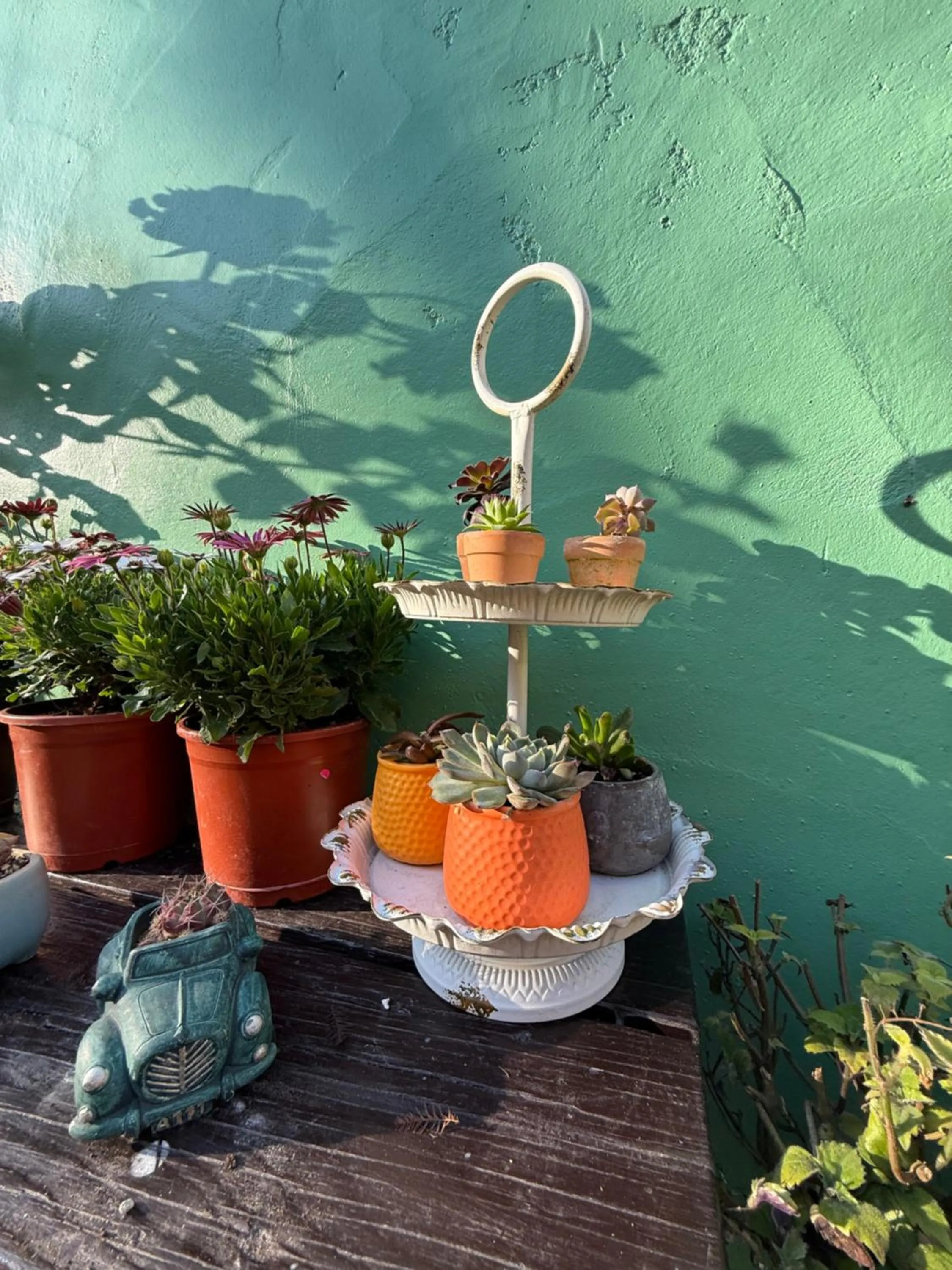 Alishan Tea Garden B&B