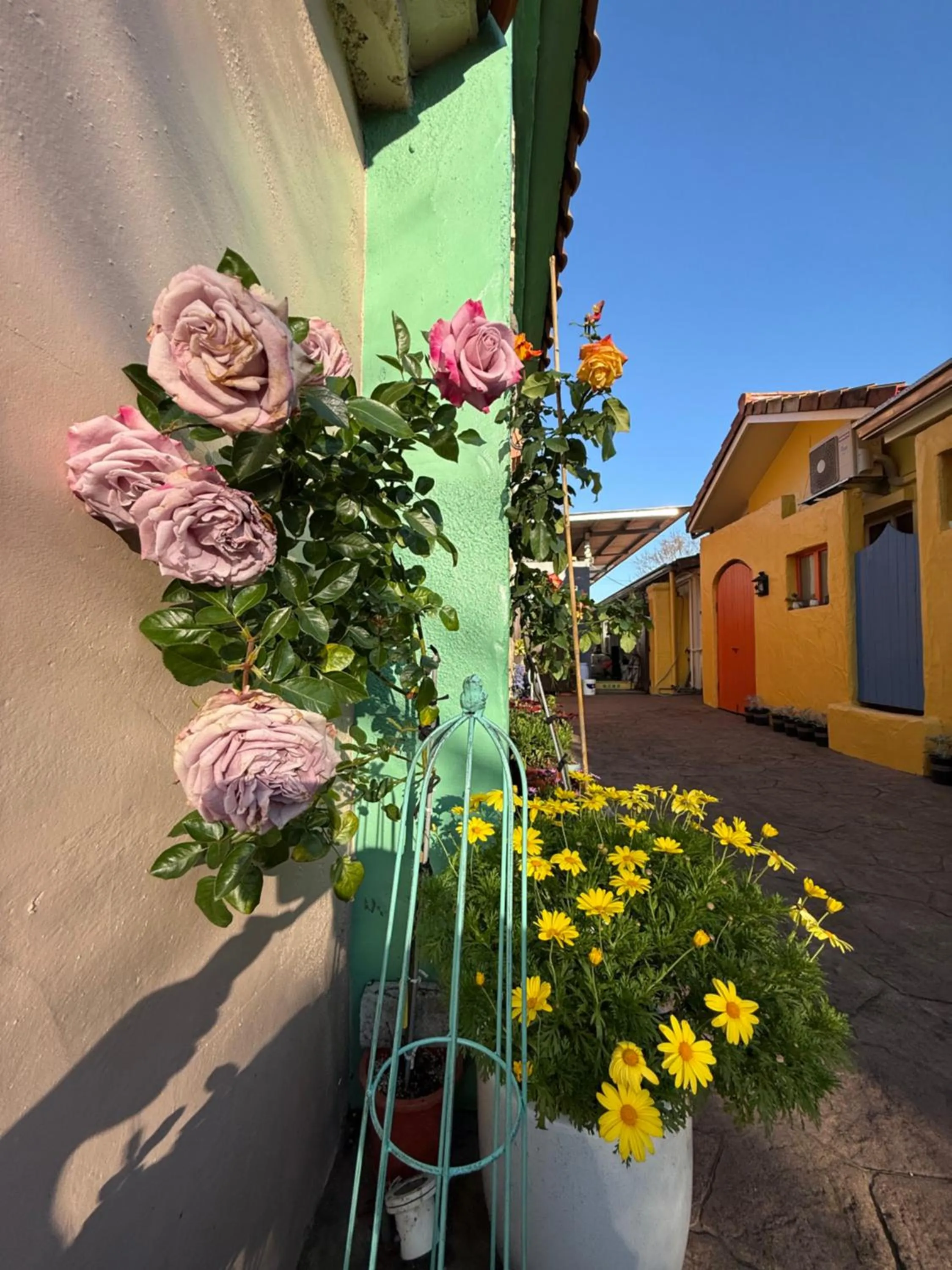 Alishan Tea Garden B&B