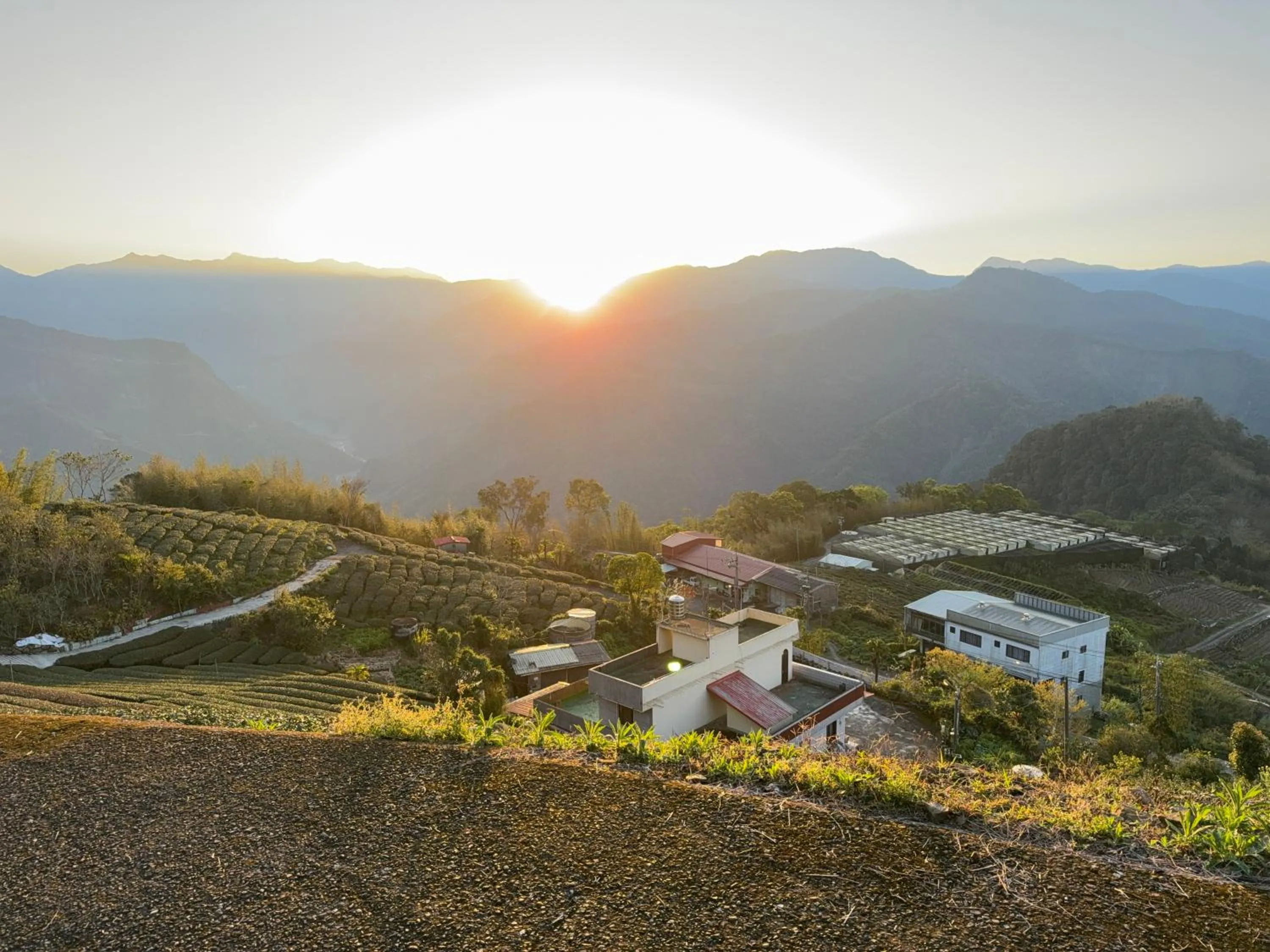 Alishan Tea Garden B&B