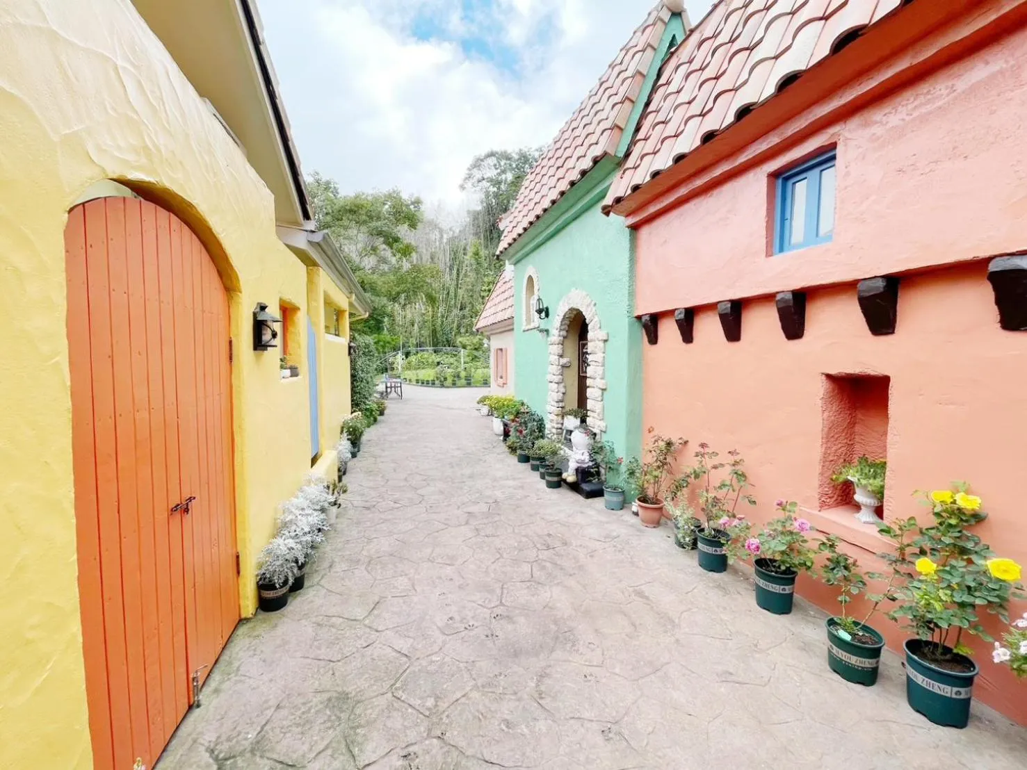 Alishan Tea Garden B&B