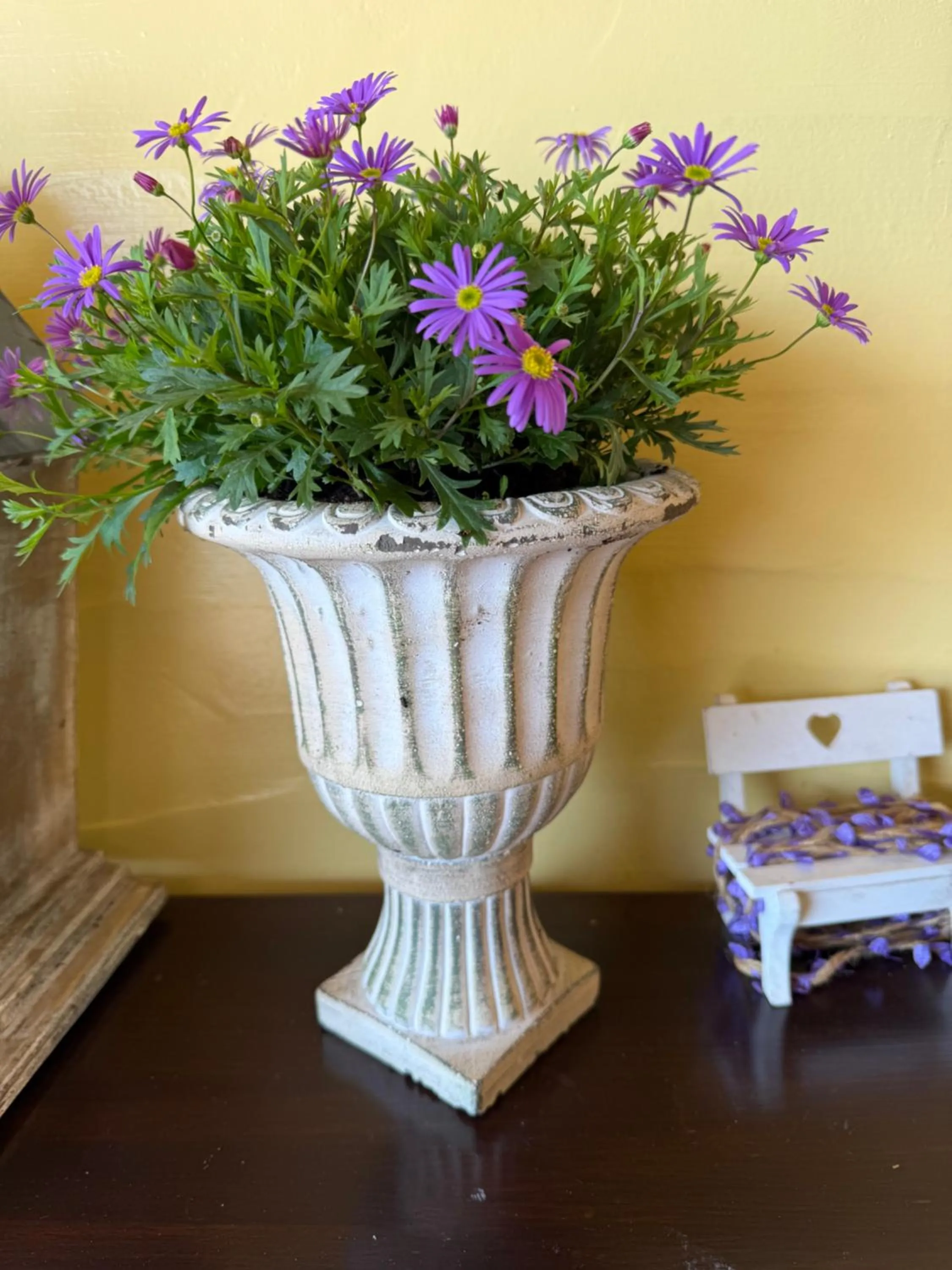 Alishan Tea Garden B&B