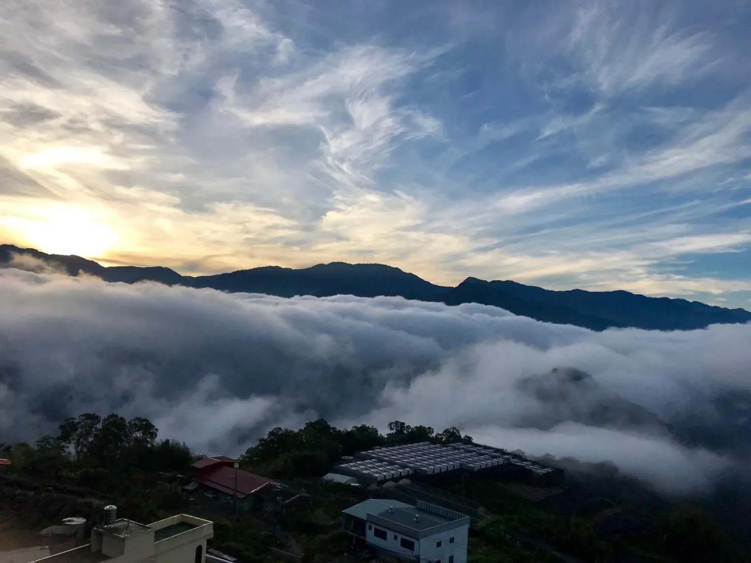 Alishan Tea Garden B&B