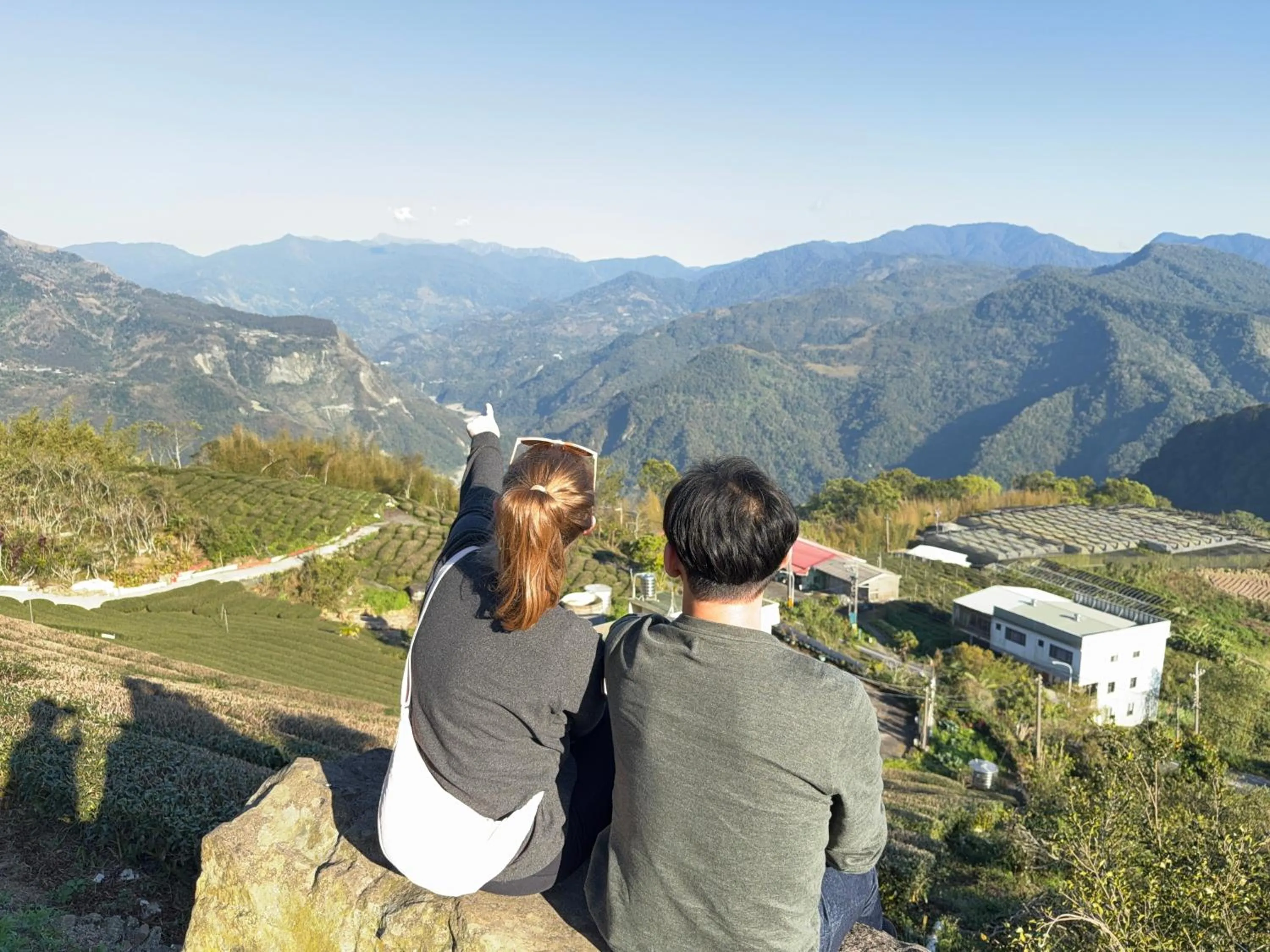 Alishan Tea Garden B&B