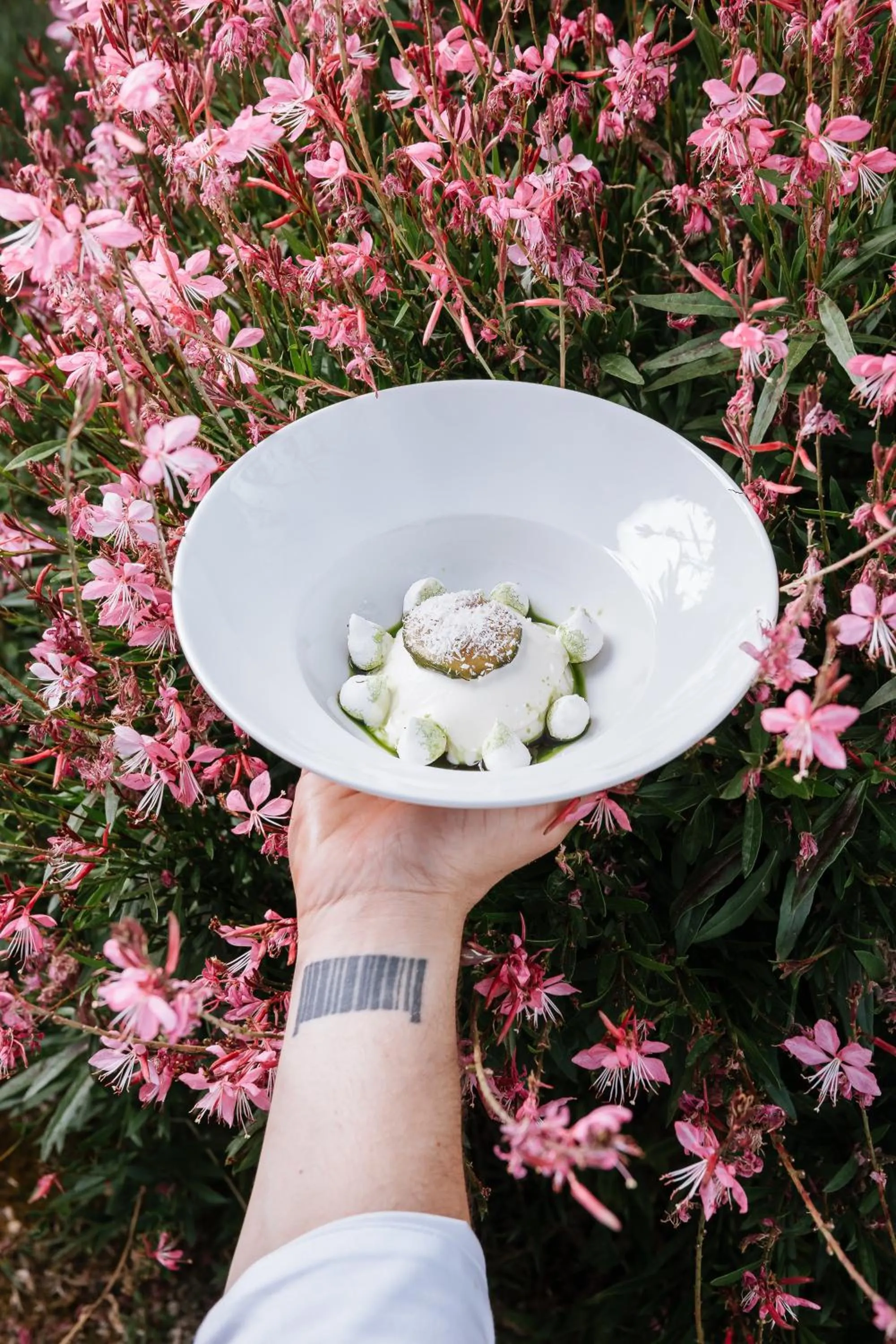 Restaurant/places to eat in Villa Corallo