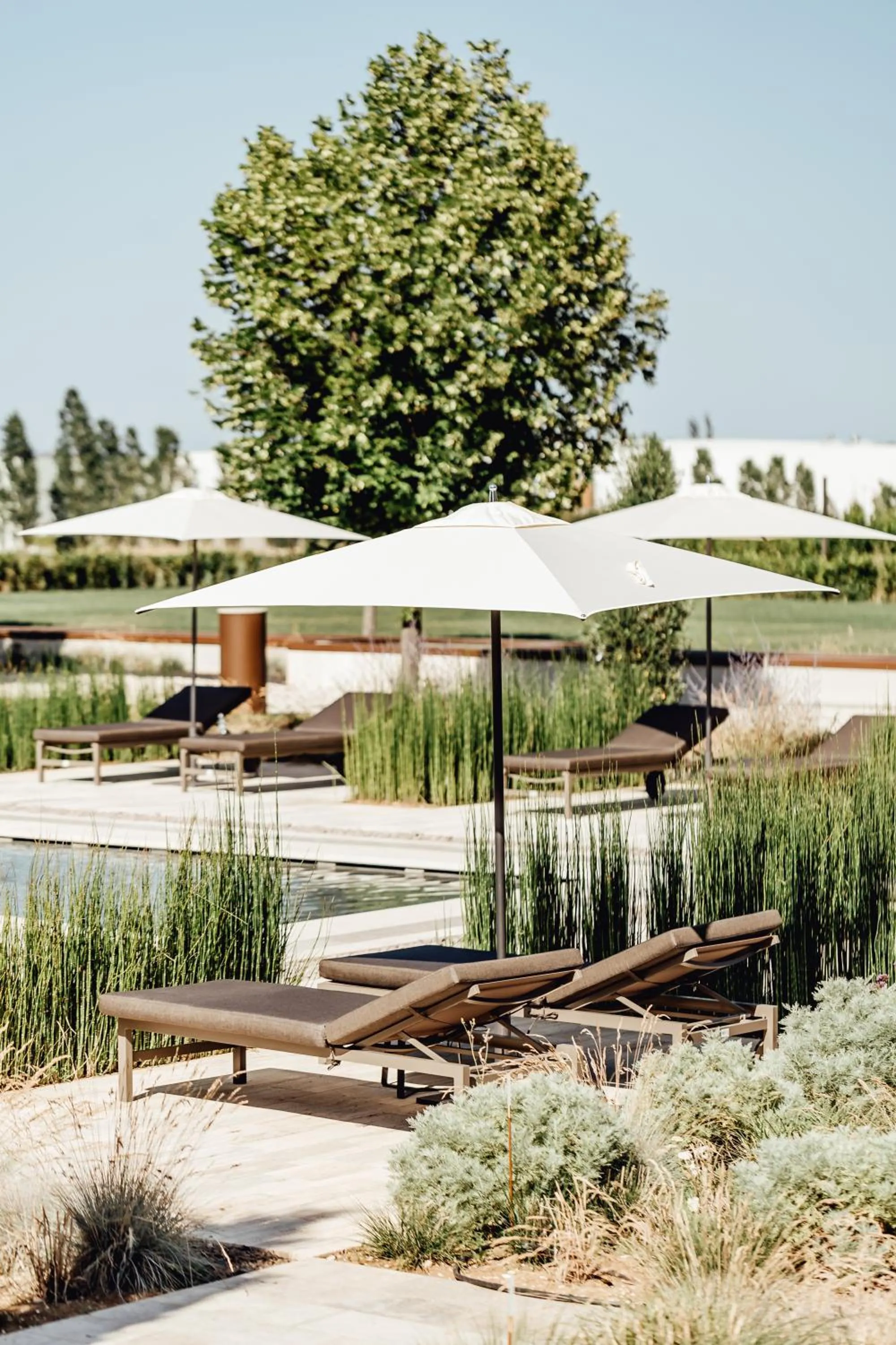 Garden in Villa Corallo