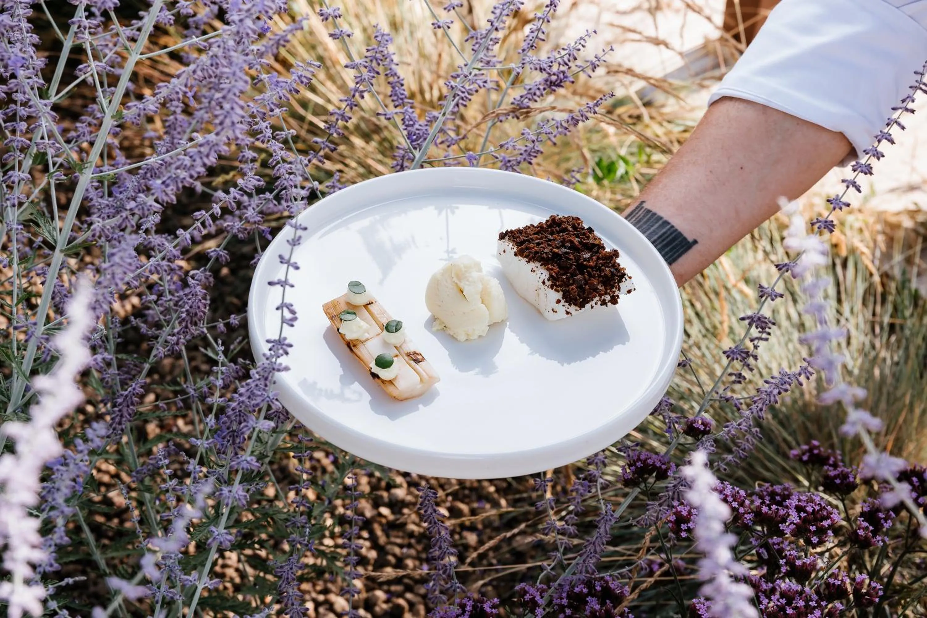 Restaurant/places to eat in Villa Corallo