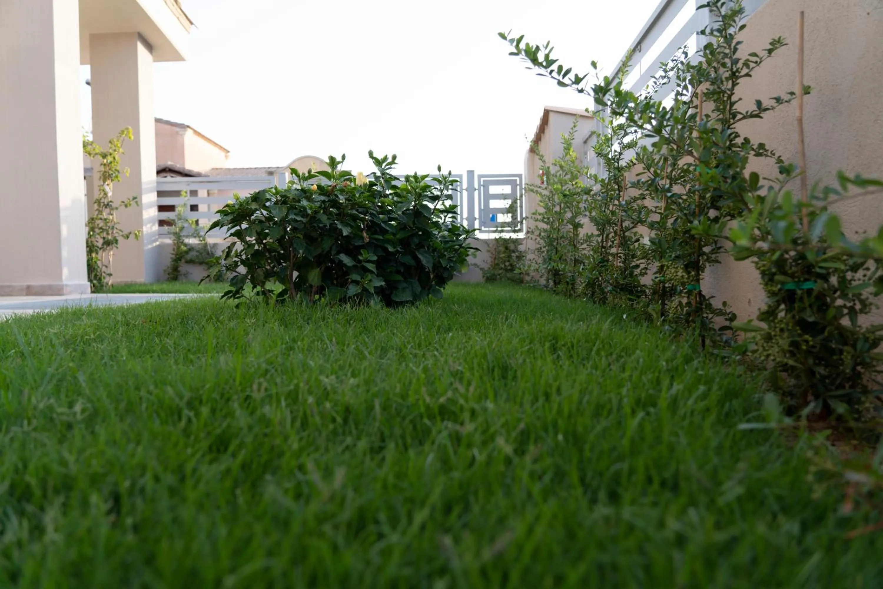 Garden in New Ca'Mea