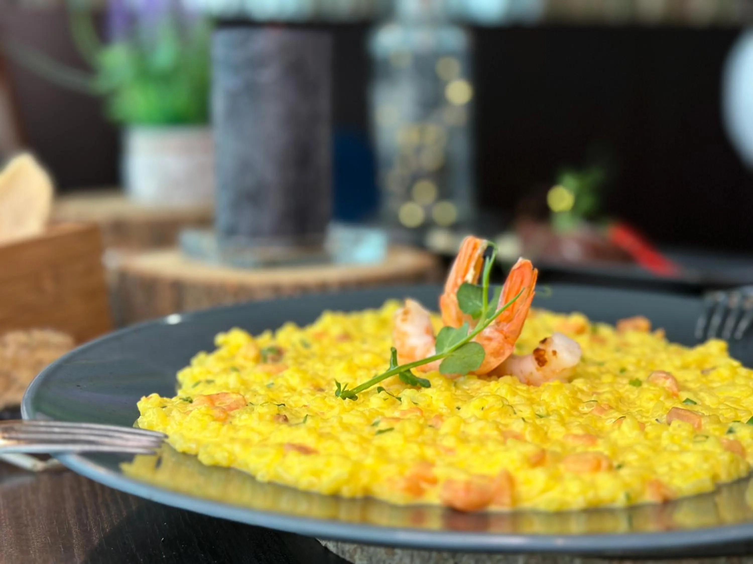 Restaurant/places to eat in Hotel Modena