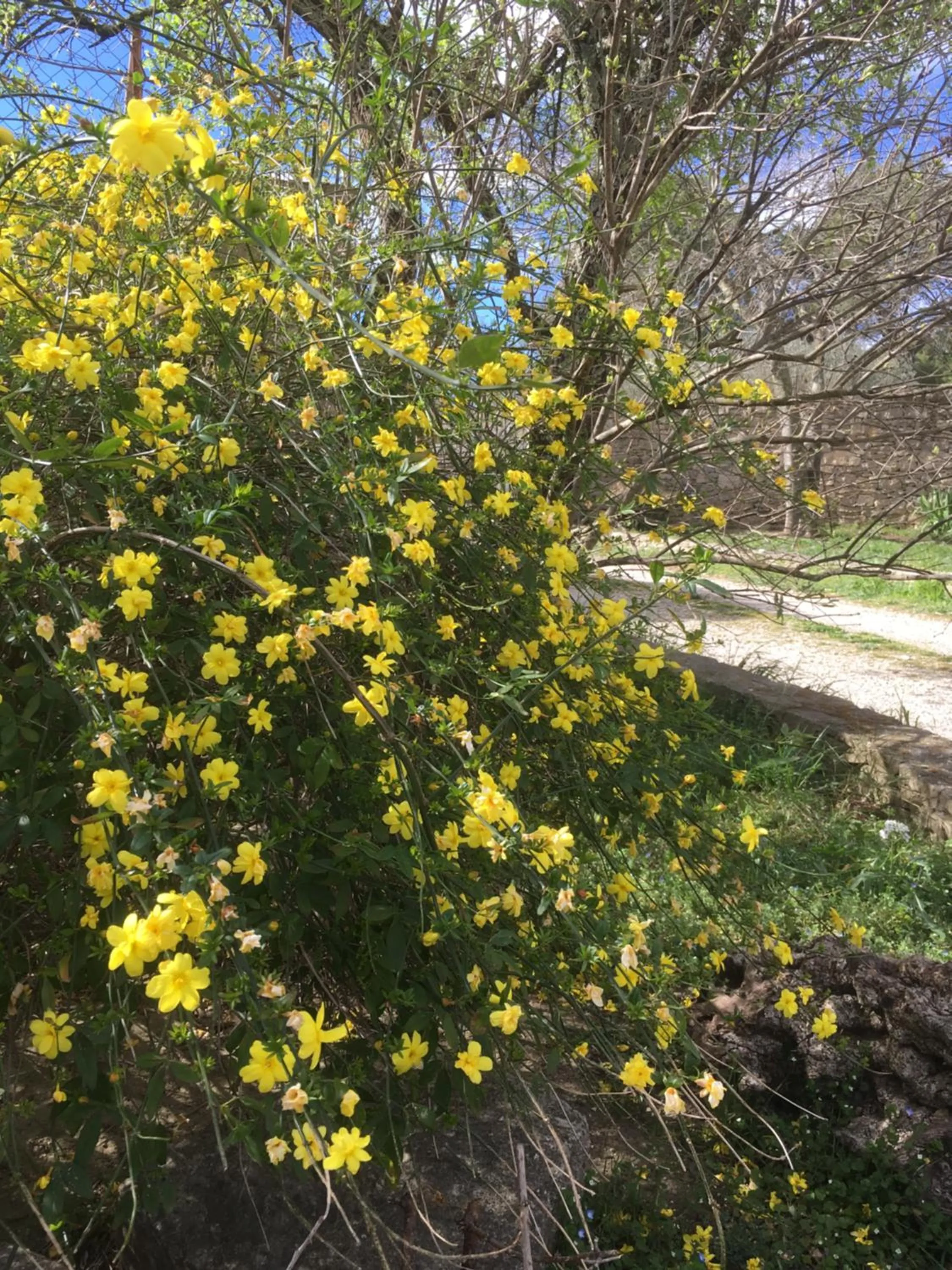 Property building in La Chambre Haute et son jardin dans les hauteurs de Nîmes