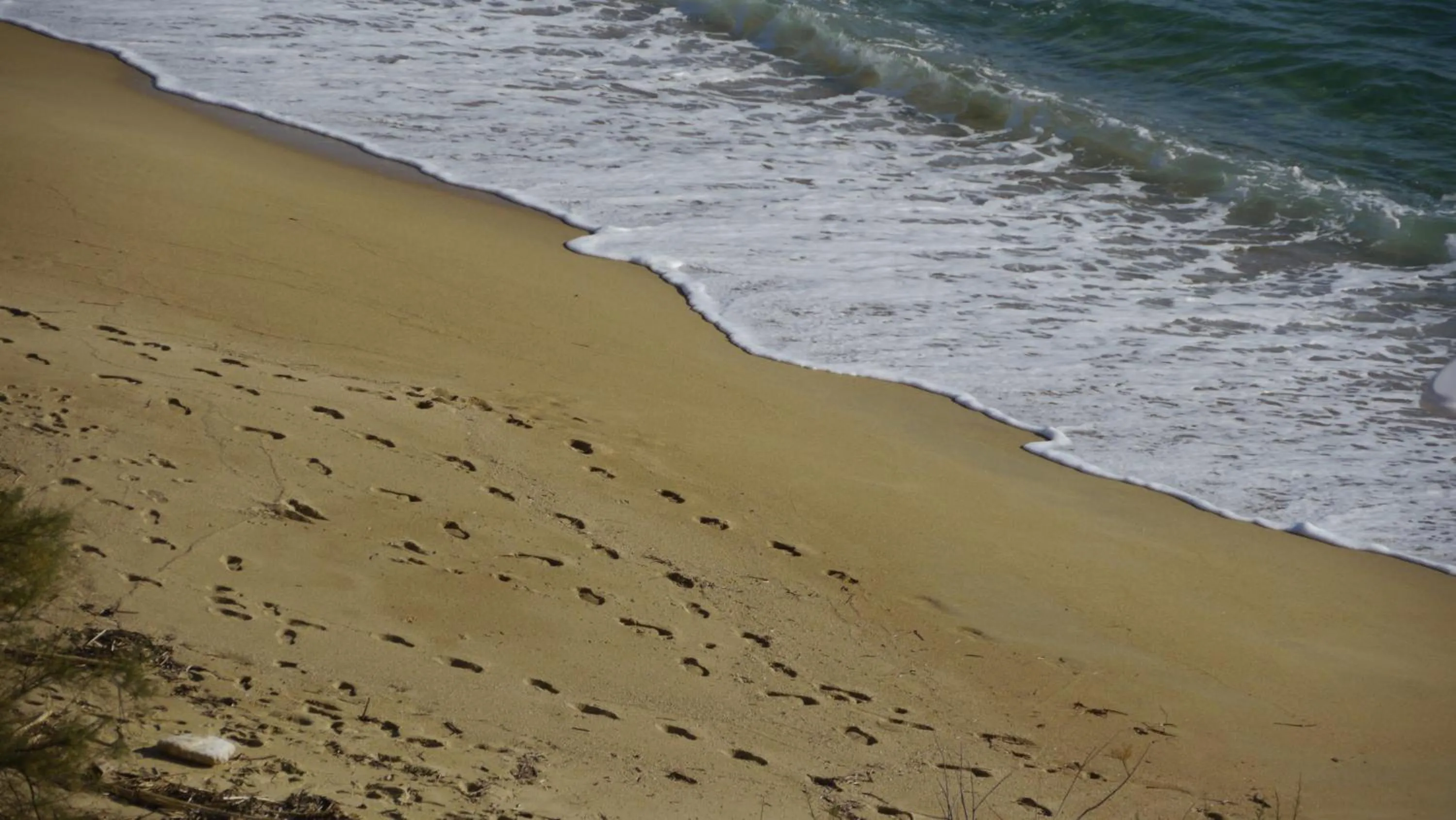 Natural landscape in Hôtel Beau Rivage